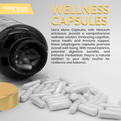Lions Mane Supplement Capsules - 120 Count - Mushroom Supplement, Brain Supplements WELLNESS LABSRXUS supplements