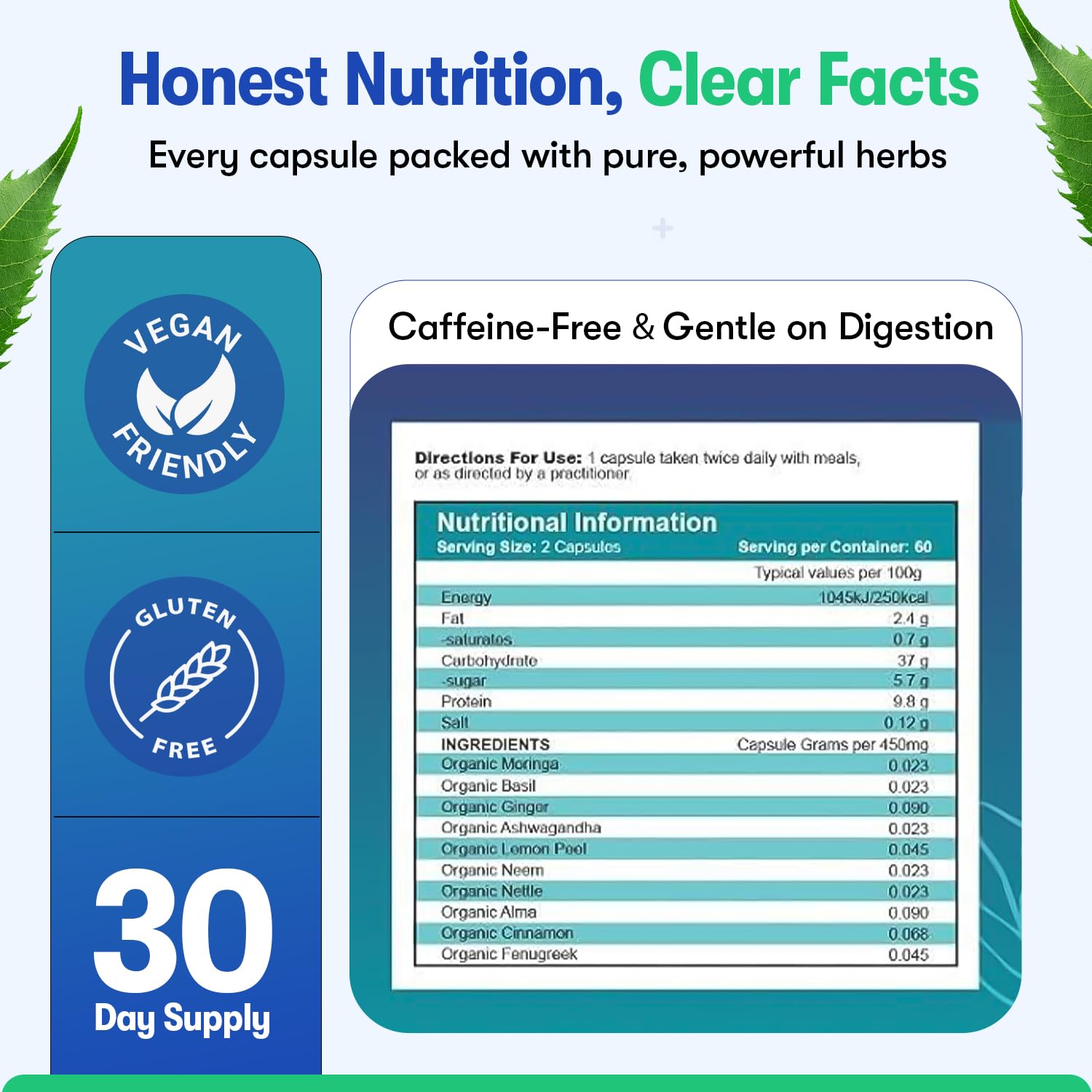 Zyzven Naturals Blood Sugar Support Supplement – 60 Vegan Capsules | Herbal Supplement with Moringa, Cinnamon, Ginger, Neem & Fenugreek | Plant-Based Wellness Supplement - Serving: 2 Capsules/Day Zyzven NaturalsAu supplements