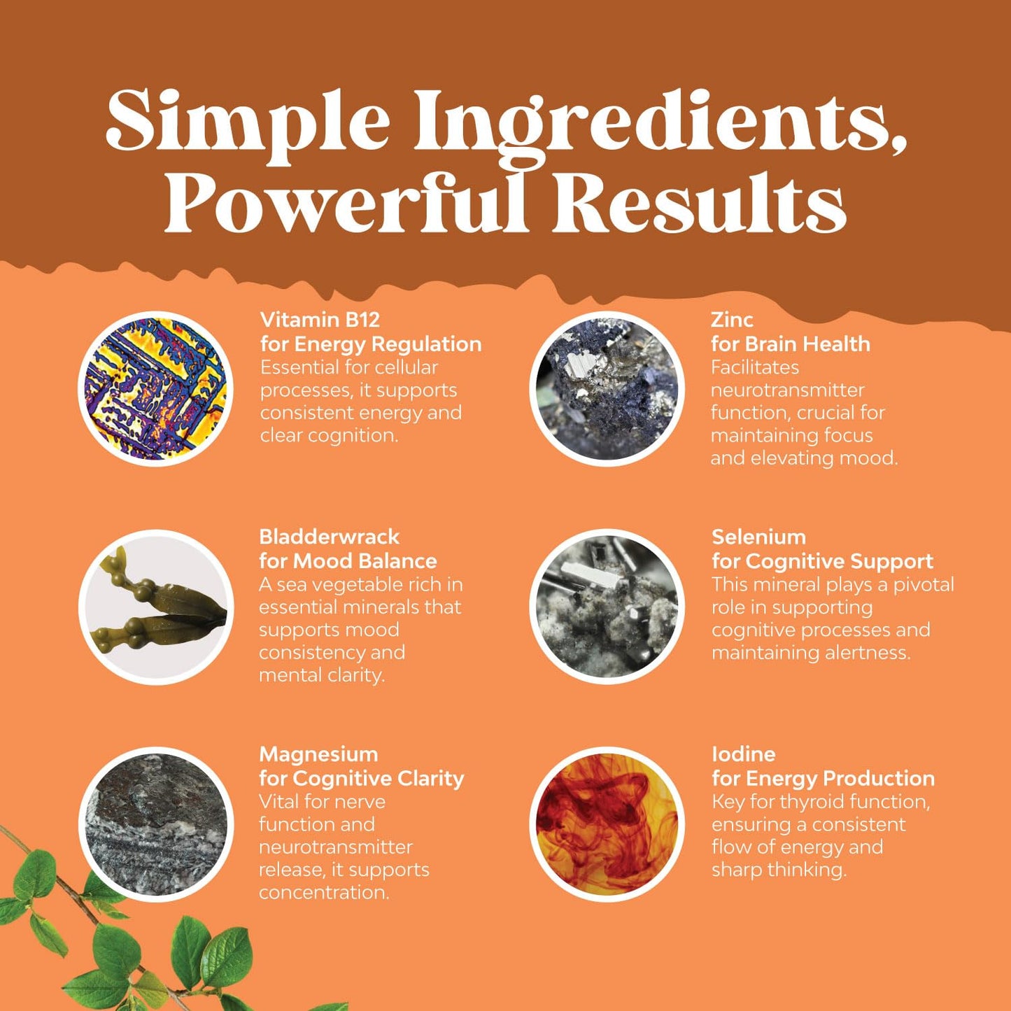 Herbal Thyroid Support Complex - Iodine Thyroid Supplement with L Tyrosine Bladderwrack Natures CraftUS supplements
