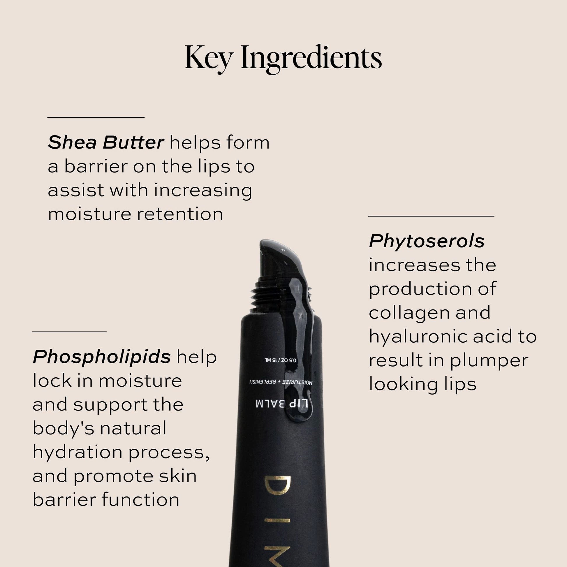 DIME Beauty Lip Balm, Hydrating Lip Balm and Gloss, Vegan & Cruelty-Free, Anti-Aging Lip Care, .5 oz / 15 ml DIMEAu supplements