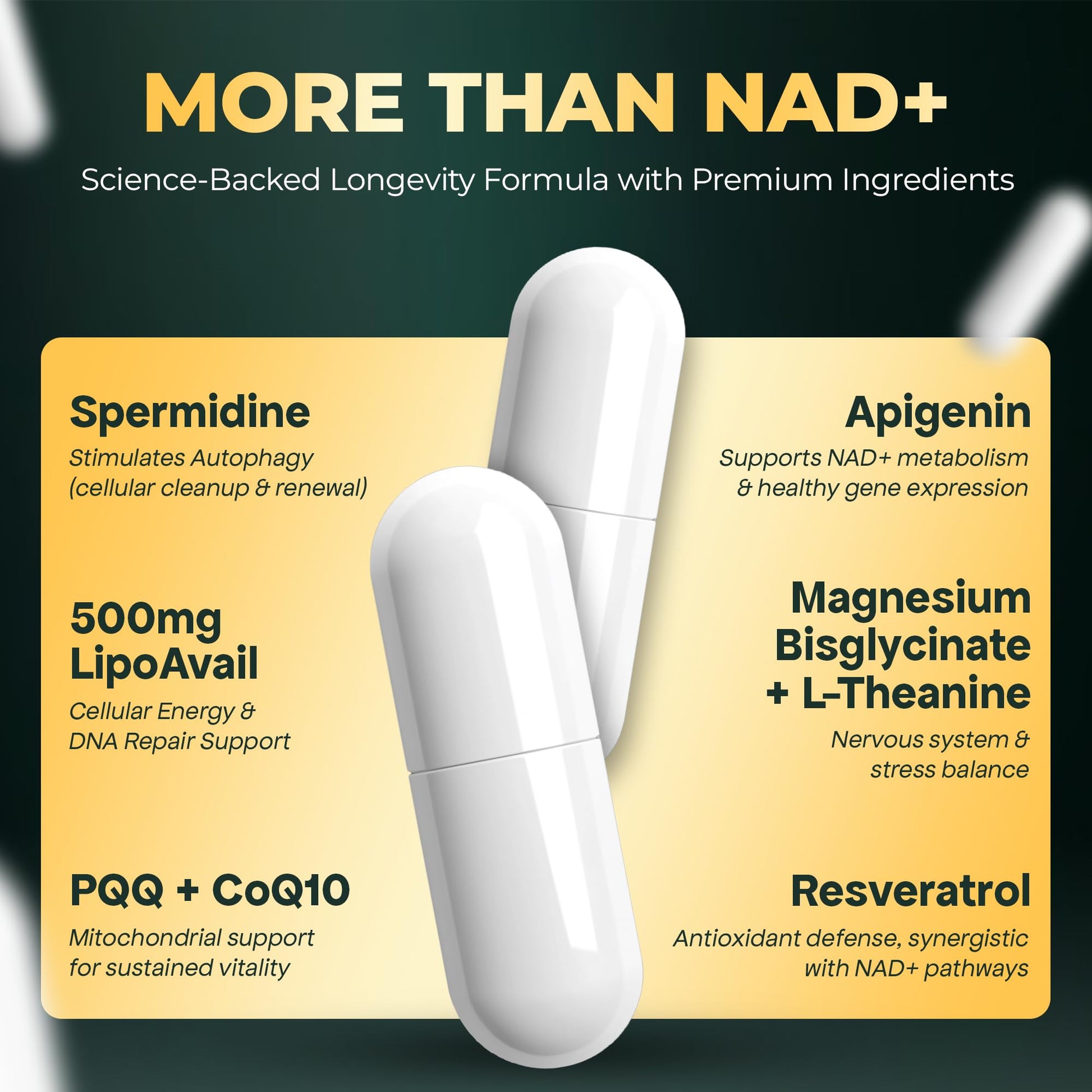UPLIFE NAD+ Supplement 1,372mg – Liposomal NAD+ with CoQ10, Resveratrol, Spermidine, L-Theanine, Apigenin & PQQ – NMNH Alternative Booster Cellular Energy, Healthy Aging, Immune Health – 120 Capsules UPLIFEAu supplements