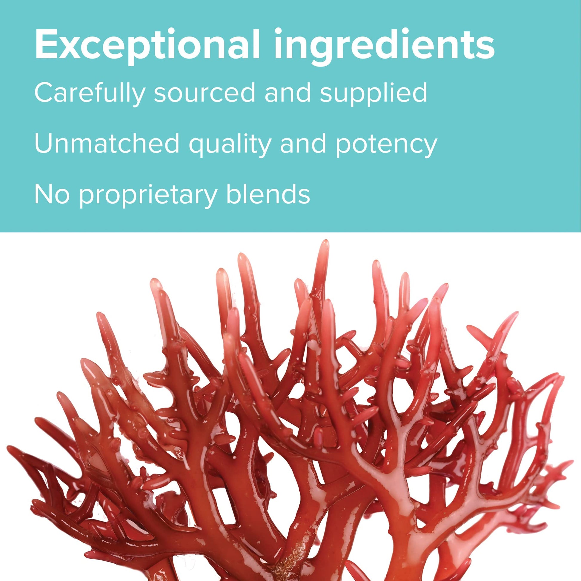 Vibrant Health, Gigartina Red Marine Algae, Plant-Based Immune Support, 60 Capsules Vibrant HealthAu supplements