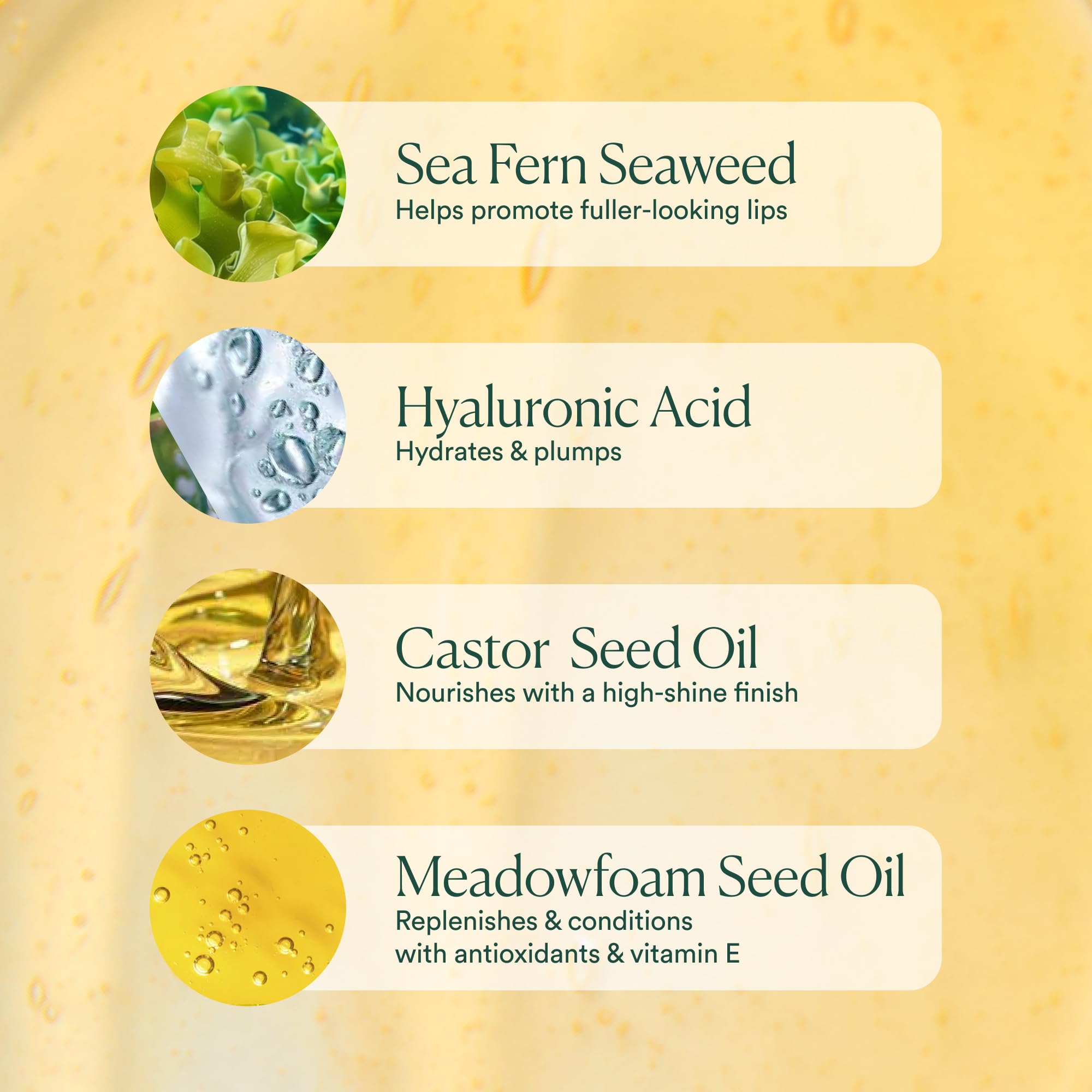 OSEA Hyaluronic Lip Oil Booster – Clean Beauty Lip Oil for Plump, Glossy, Hydrated Lips – Nourishing Seaweed & Meadowfoam Oil – Vegan, Non-Sticky, High-Shine Finish OSEAAu supplements