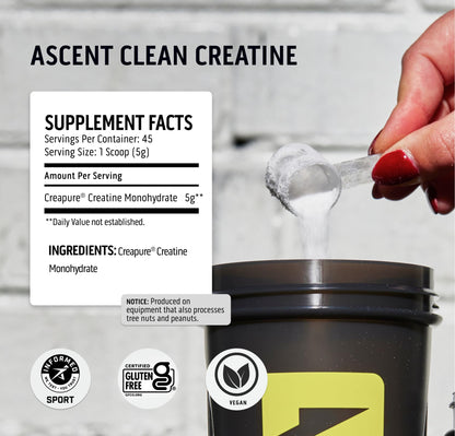 Ascent Clean Creatine Monohydrate Powder - 5G Per Serving, Creapure Creatine Supple AscentUS supplements