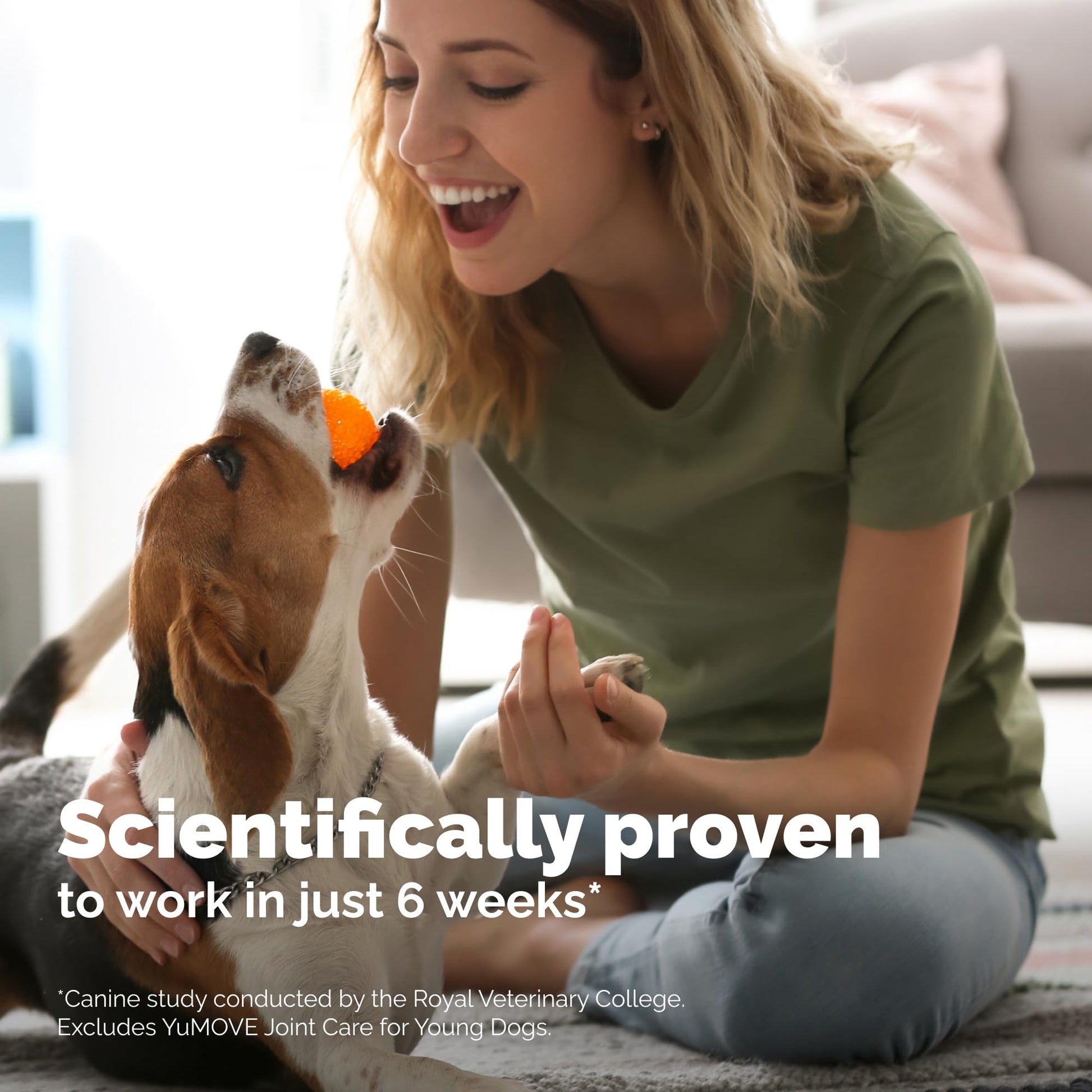 Yumove Hip & Joint Supplement for Dogs with Glucosamine, Hyaluronic Acid, Green Lipped Mussel & Omega 3 Joint Supplement - Regular or Advanced Strength (90 Count, Advanced Vet Strength Soft Chews) YuMOVEAu supplements