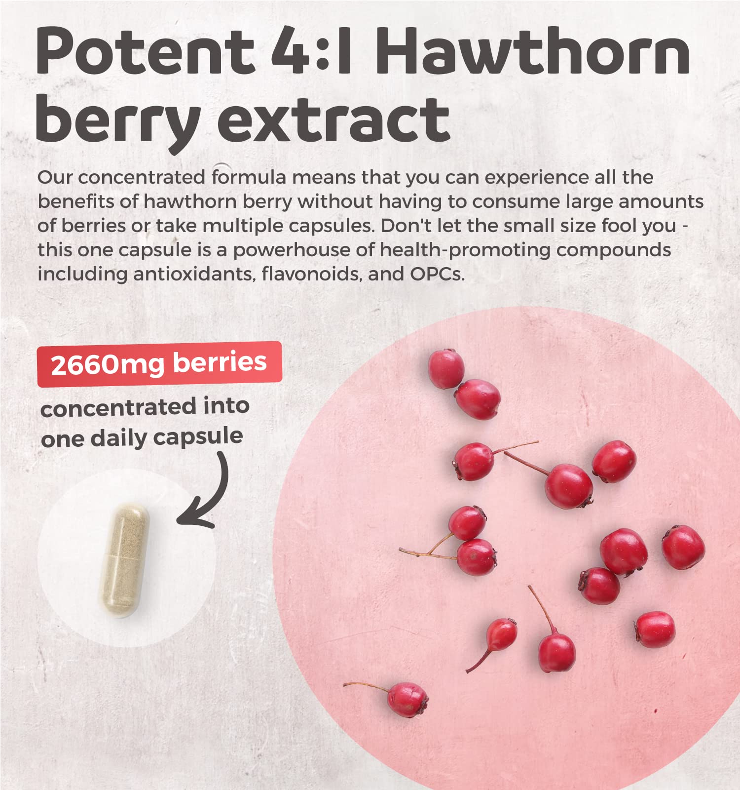 Hawthorn Berry Capsules - 4 Month Supply Digestion & Heart Health Supplement Healths HarmonyAu supplements