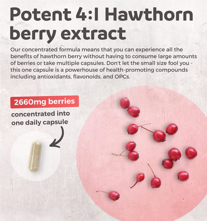 Hawthorn Berry Capsules - 4 Month Supply Digestion & Heart Health Supplement Healths HarmonyUS supplements