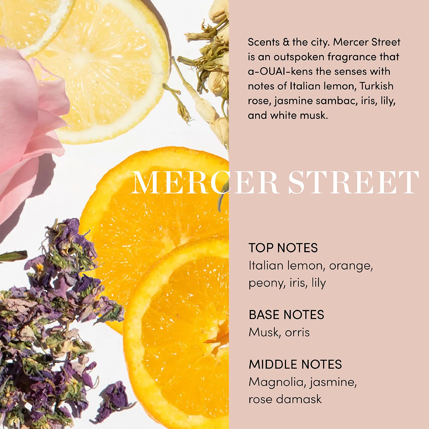 OUAI Fur Bébé Pet Shampoo, Mercer Street Scent - Dog Shampoo and Coat Wash for Hydrating, Cleansing and Adding Shine - Pet Supplies by OUAI (16 Fl Oz) OUAIAu supplements