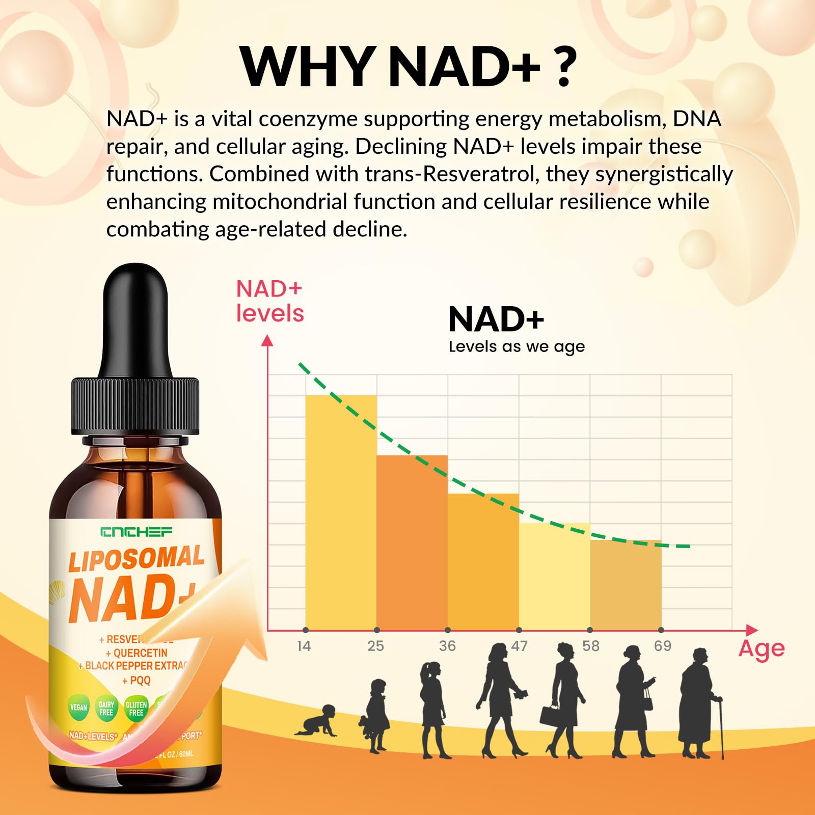 CNCHEF Liposomal NAD Supplement - 1500mg NAD+ Liquid Drop for Women & Men Nicotinamide Riboside Chloride & Resveratrol Complex - Cellular Renewal, Anti-Aging Support - 30 Servings (2 fl oz) CNCHEFAu supplements