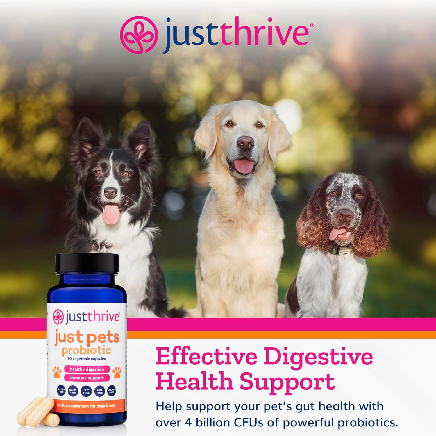 Just Thrive Just Pets Probiotic - Daily Digestive Probiotics for Dogs and Cats - 4 Billion CFUs Pet Probiotic, 30 Capsules Just ThriveUS supplements