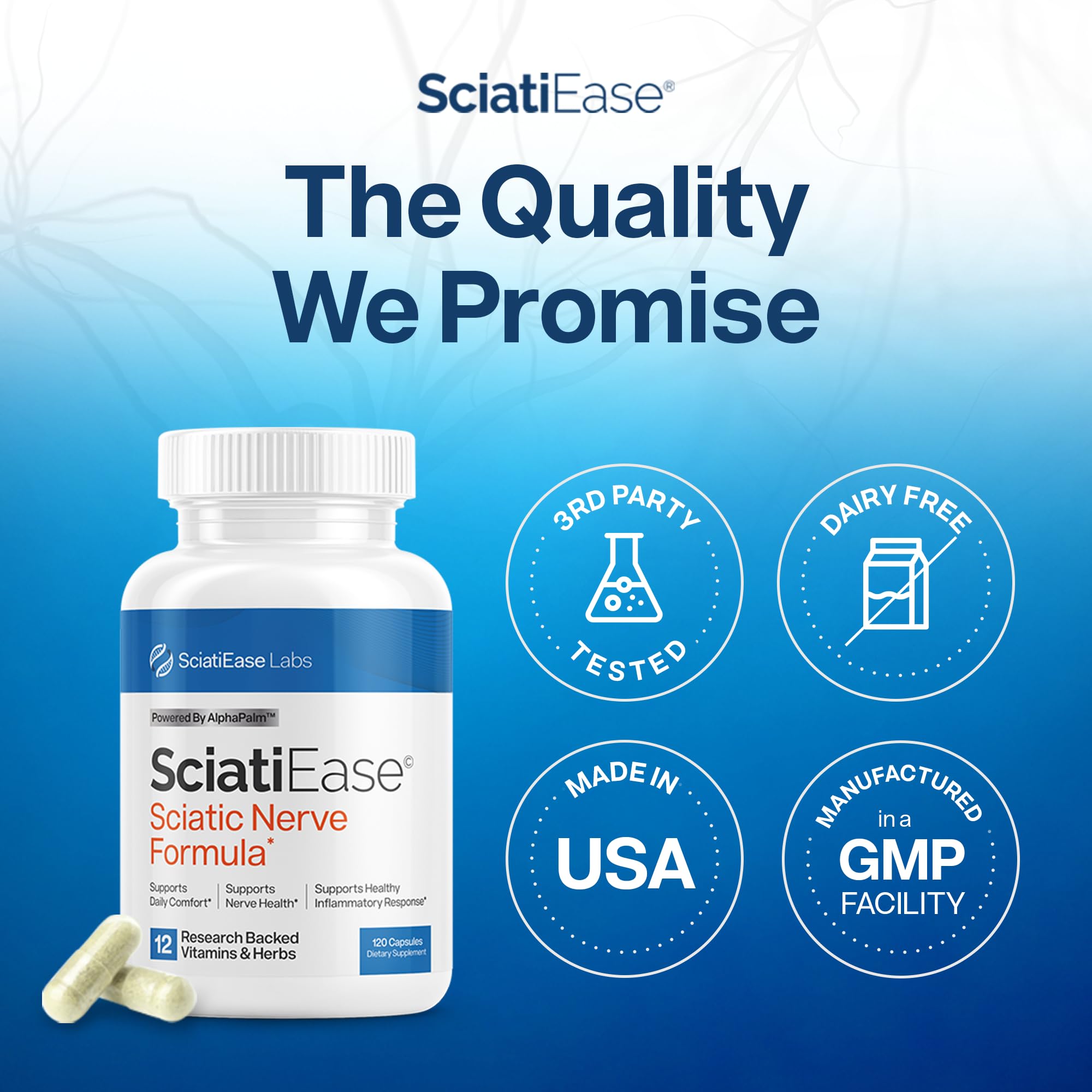 SciatiEase Sciatic Nerve Health Support Supplement - Nerve Support Formula with AlphaPalm, Pea, Vitamin B Complex, Alpha Lipoic Acid 300mg - 3 Bottles SciatiEaseAu supplements