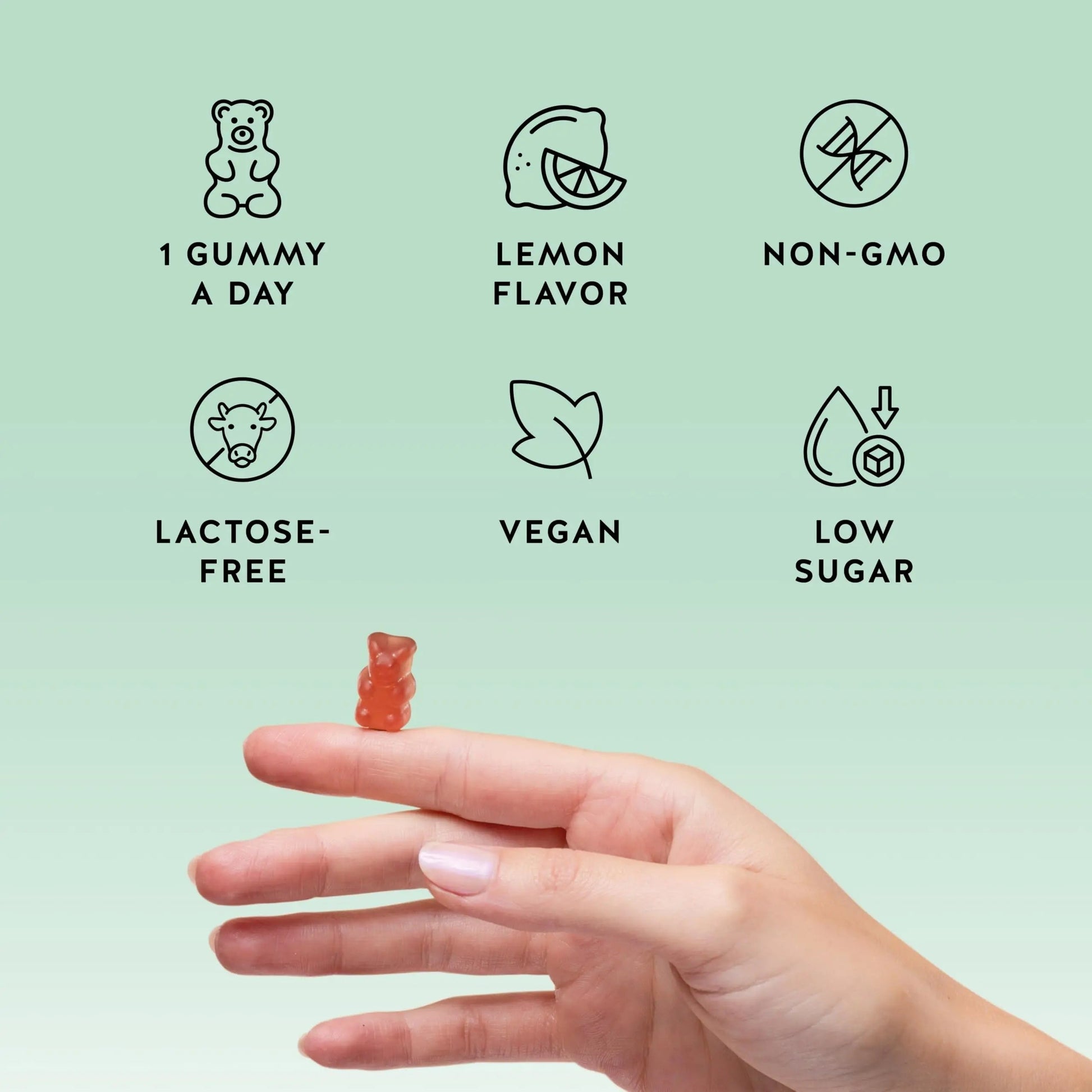 Bears with Benefits Immune Support Gummies – Vitamin C, D, B6 & B12 – Daily Immune Boost – Vegan, Naturally Flavored (30 Gummies) Bears with BenefitsAu supplements
