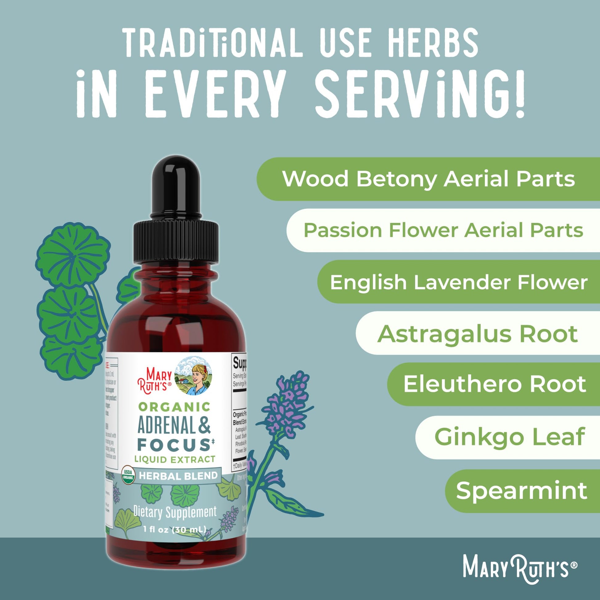 MaryRuth Organics - USDA Organic Brain Nootropic Supplement for Adults with Ginkgo Biloba & Astragalus | Focus & Adrenal Support | Brain & Memory Drops | Vegan | Non-GMO | Gluten Free | 30 Servings MARYRUTH'SUS supplements