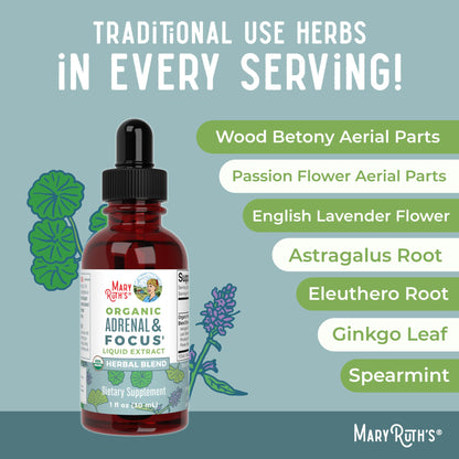 MaryRuth Organics - USDA Organic Brain Nootropic Supplement for Adults with Ginkgo Biloba & Astragalus | Focus & Adrenal Support | Brain & Memory Drops | Vegan | Non-GMO | Gluten Free | 30 Servings MARYRUTH'SUS supplements