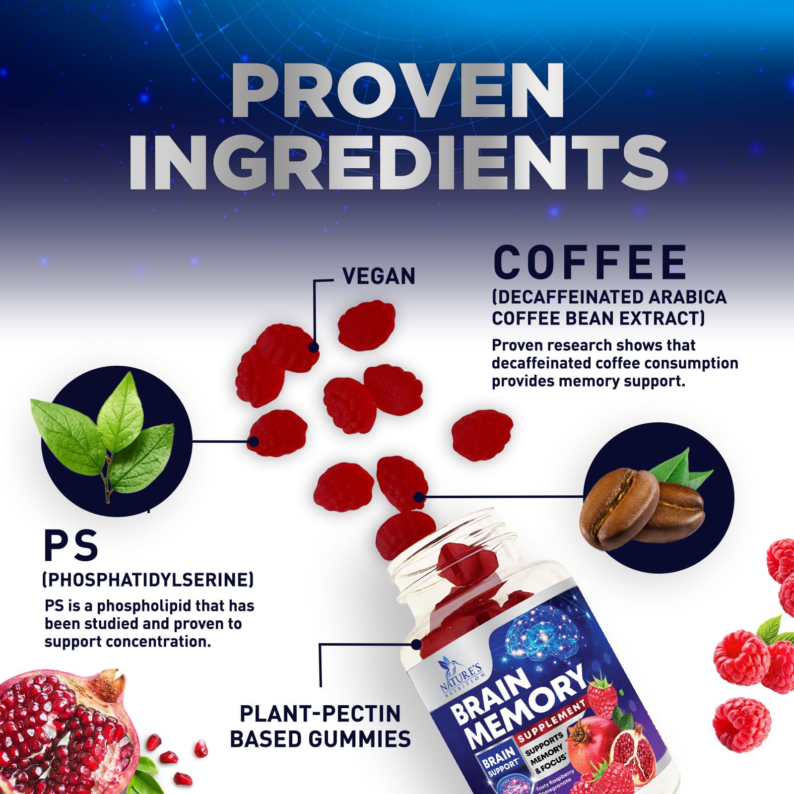 Brain Supplements for Memory & Focus Gummies - Brain Health Clarity with B6 B12 & Phosphatidylserine - Natural Nootropics Cognitive Concentration & Alertness Support Vitamins - 60 Vegan Gummies Nature's NutritionAu supplements