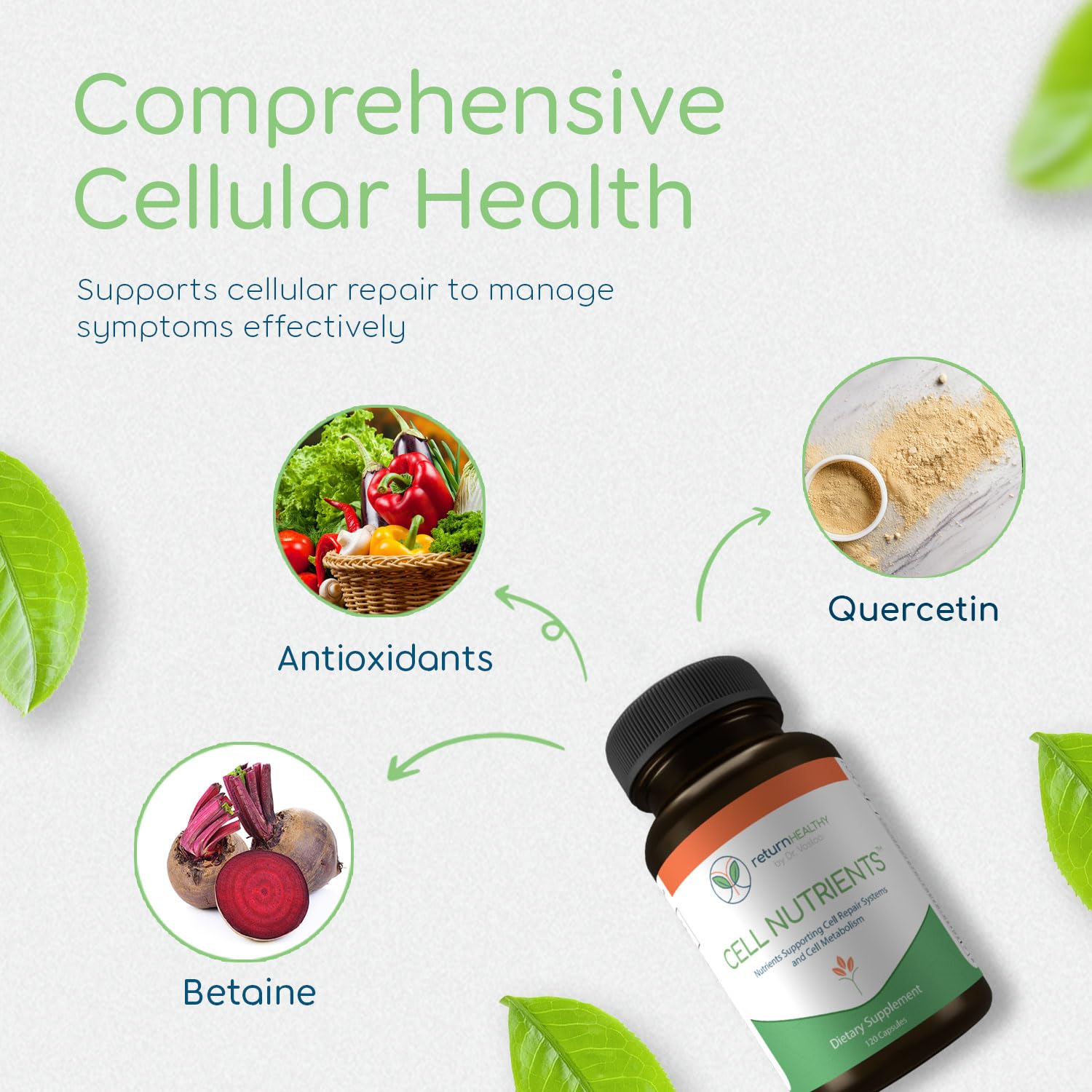 Return Healthy Cell Nutrients | Promotes Cell and Membrane Repair & Cell Metabolism | Helps Fight Tick-Borne Infections & More | Mitochondrial Supplements | Non-GMO, Vegan, 120 caps Return HealthyAu supplements