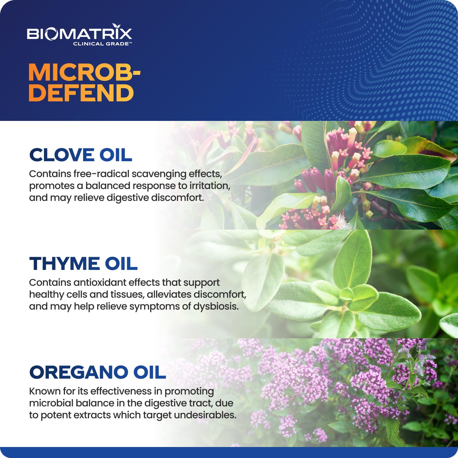 BioMatrix Biofilm Disruptor, GI Repair Digestive Supplement for Men and Women, Oil of Thyme, Oregano & Clove, Gut Microbiome & Intestinal Health Support | Microb-Defend (90 Softgels) BioMatrixAu supplements