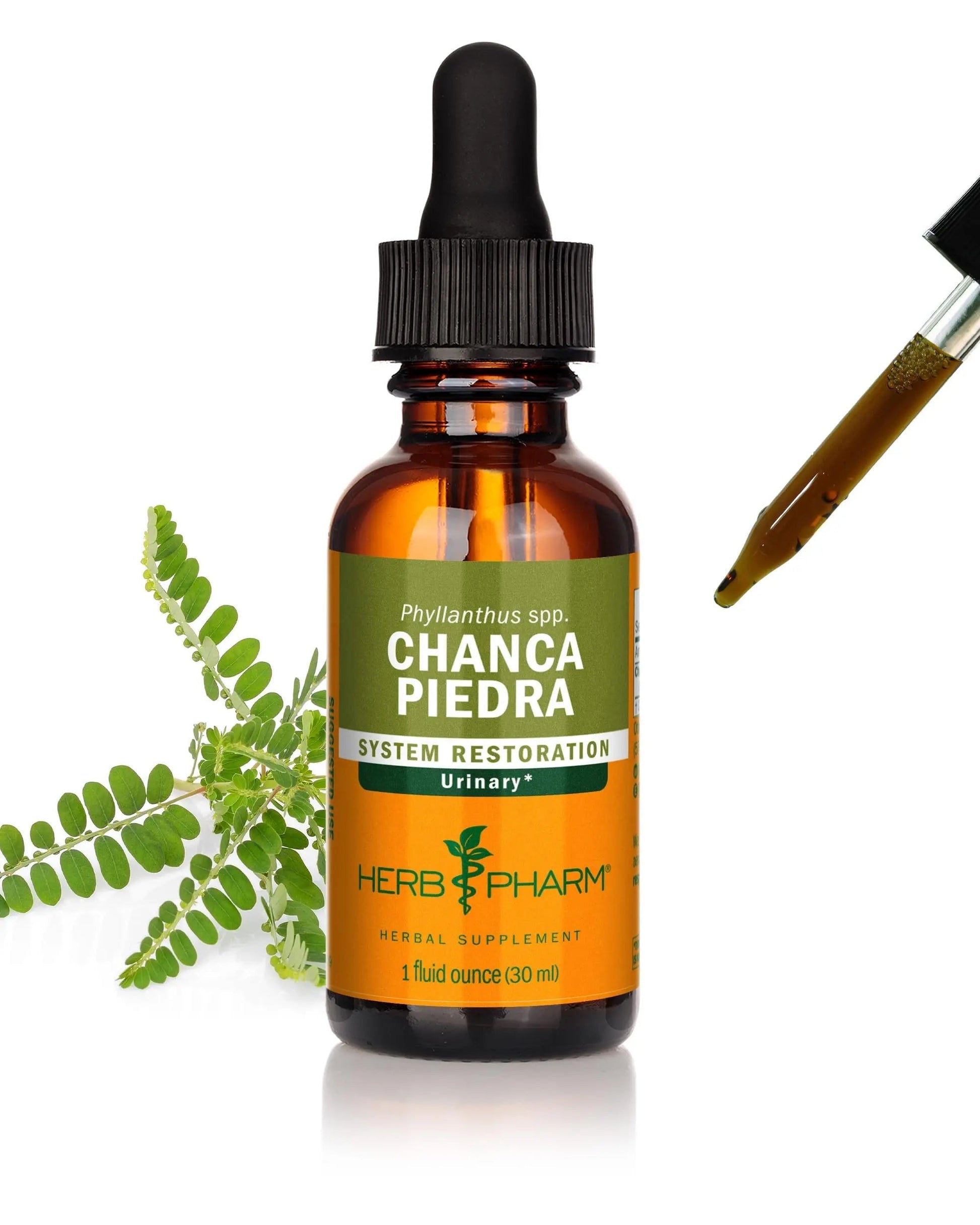 Herb Pharm Chanca Piedra Liquid Extract for Urinary System Support, 1 Fl Oz Herb PharmAu supplements