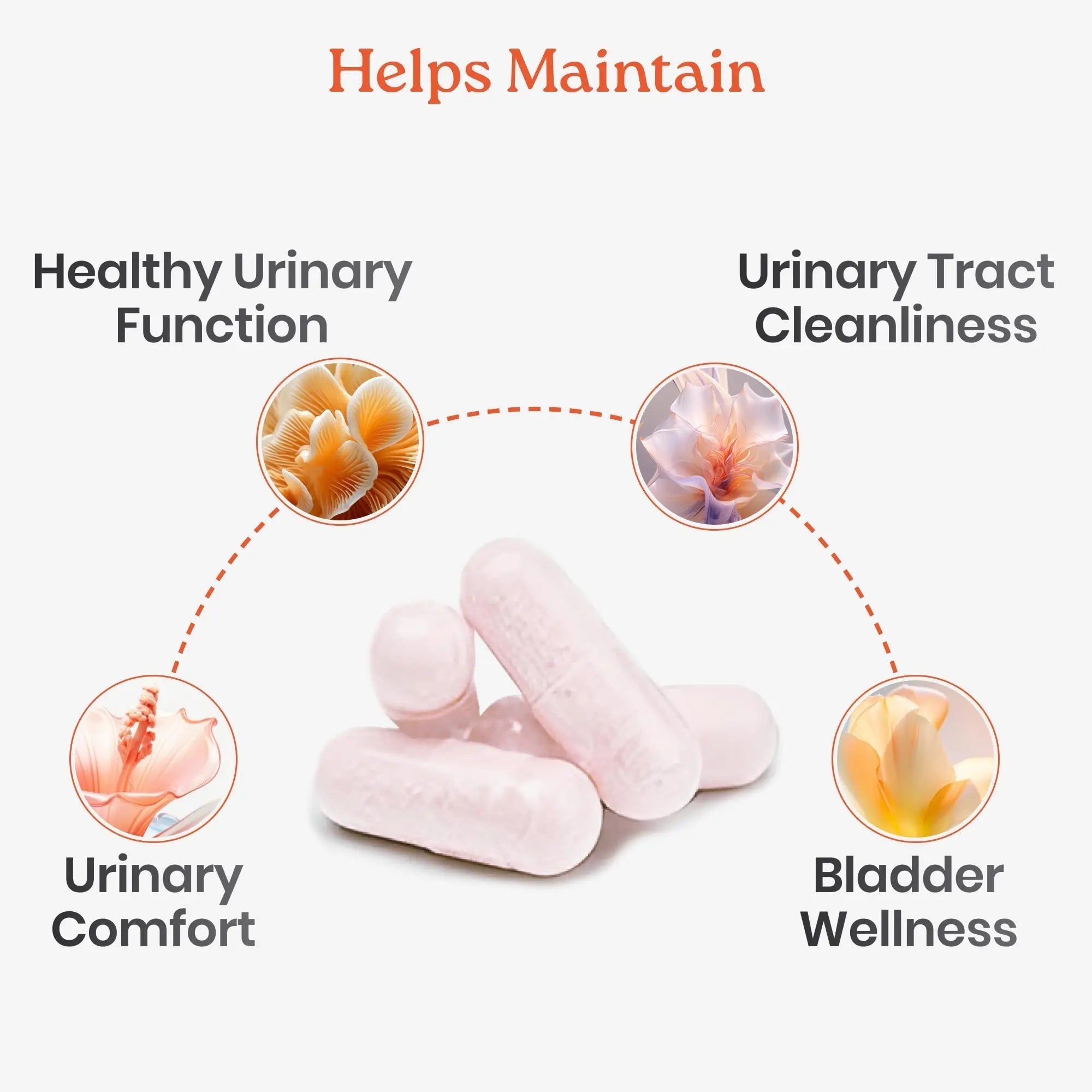 NewLife Naturals D-Mannose Capsules | w/Cranberry and Hibiscus Extracts | Natural Urinary Tract Health Supplement | 1400mg Pure Veggie Powder | 60 Veggie Capsules NewLife NaturalsAu supplements