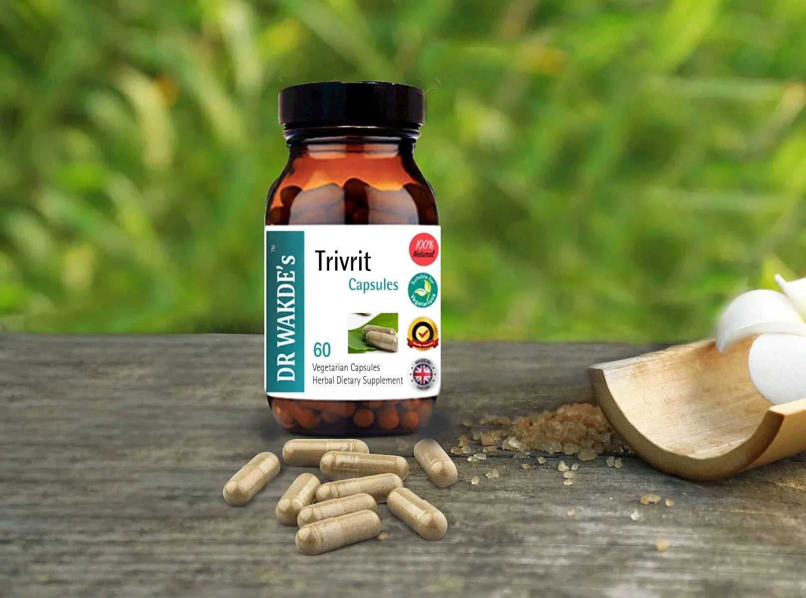 DR WAKDE'S Trivrit Capsules (Nishottar, 60 Veg Caps, Plant-Based Supplement, Ayurvedic Herb, All Natural, Vegan) DR WAKDE'sAu supplements
