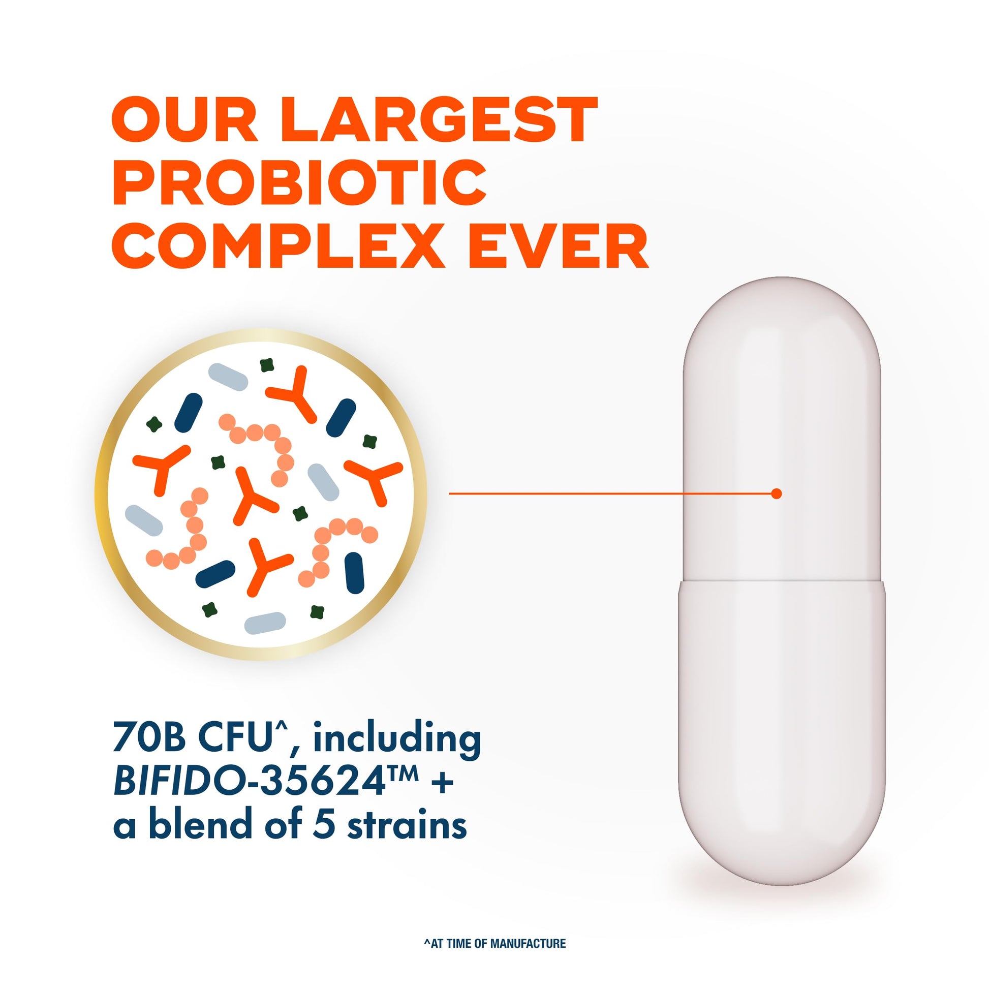 Align Probiotic, 70 Billion CFU, 6 Strain Blend, Probiotics for Women and Men, Daily Probiotics for Digestive Health, Helps Relieve Occasional Bloating & Gas 30 Capsules AlignAu supplements
