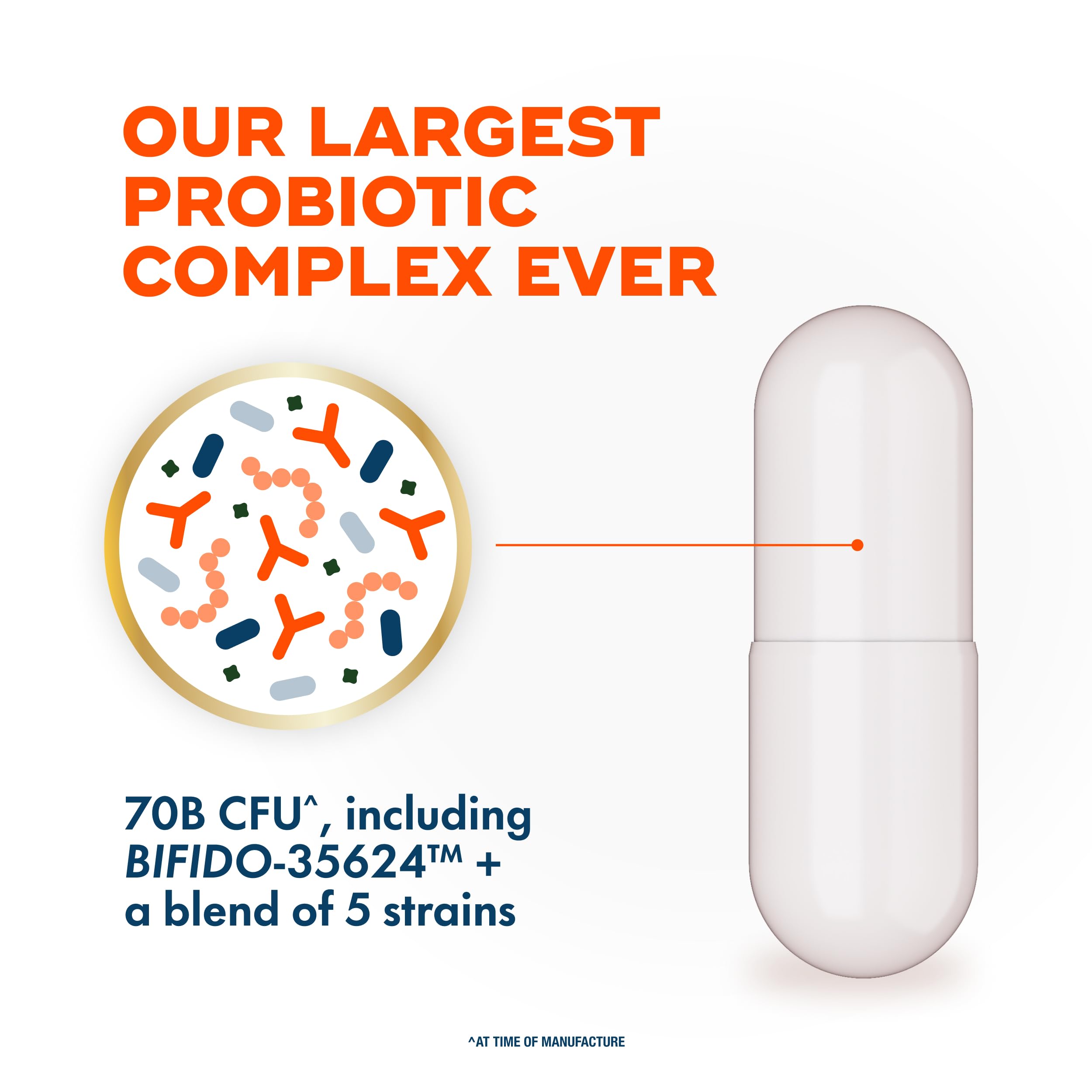 Align Probiotic, 70 Billion CFU, 6 Strain Blend, Probiotics for Women and Men, Daily Probiotics for Digestive Health, Helps Relieve Occasional Bloating & Gas 30 Capsules AlignAu supplements