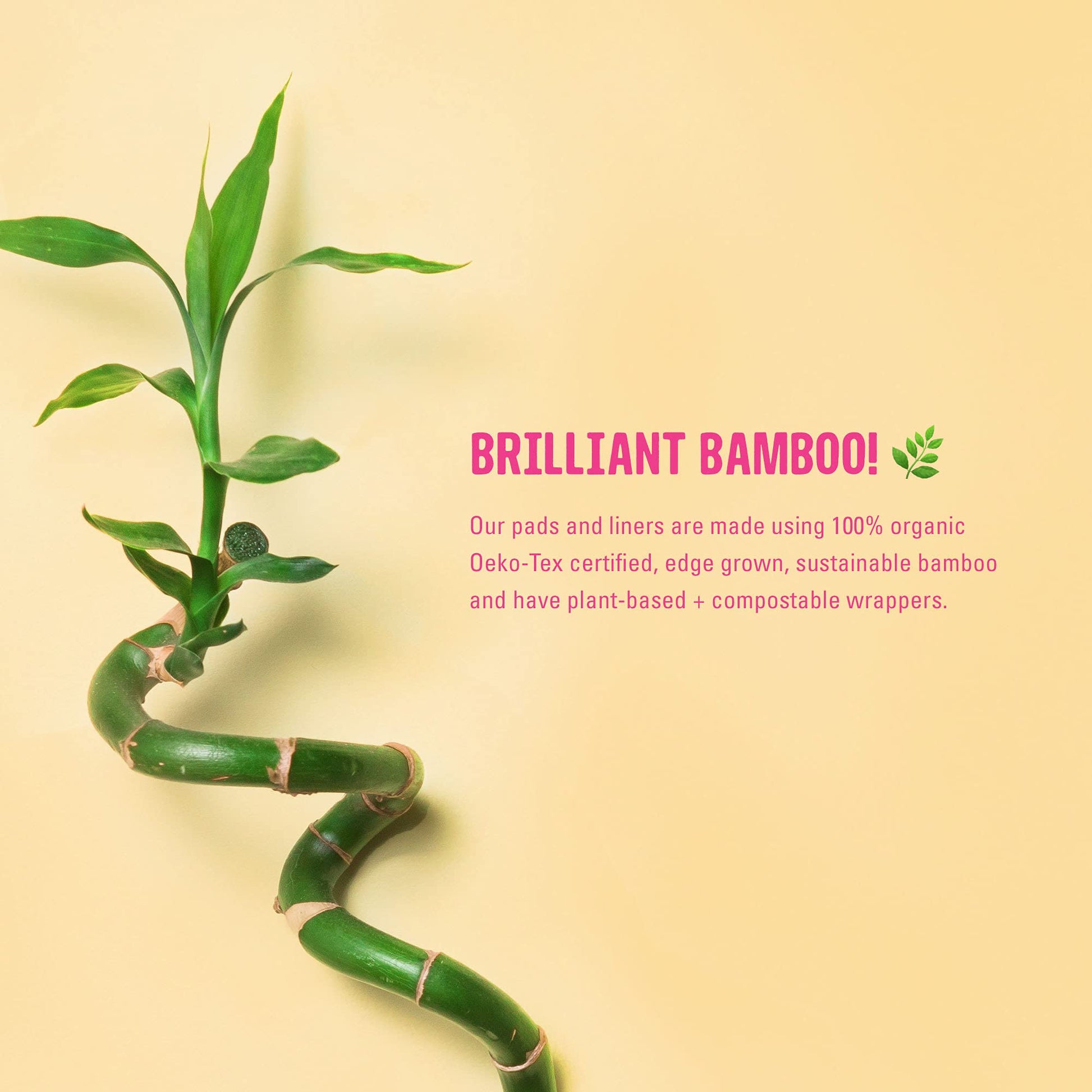 FLO - Organic Bamboo Daily Panty Liners, Plant-Based Cotton, Biodegradable FLOAu supplements