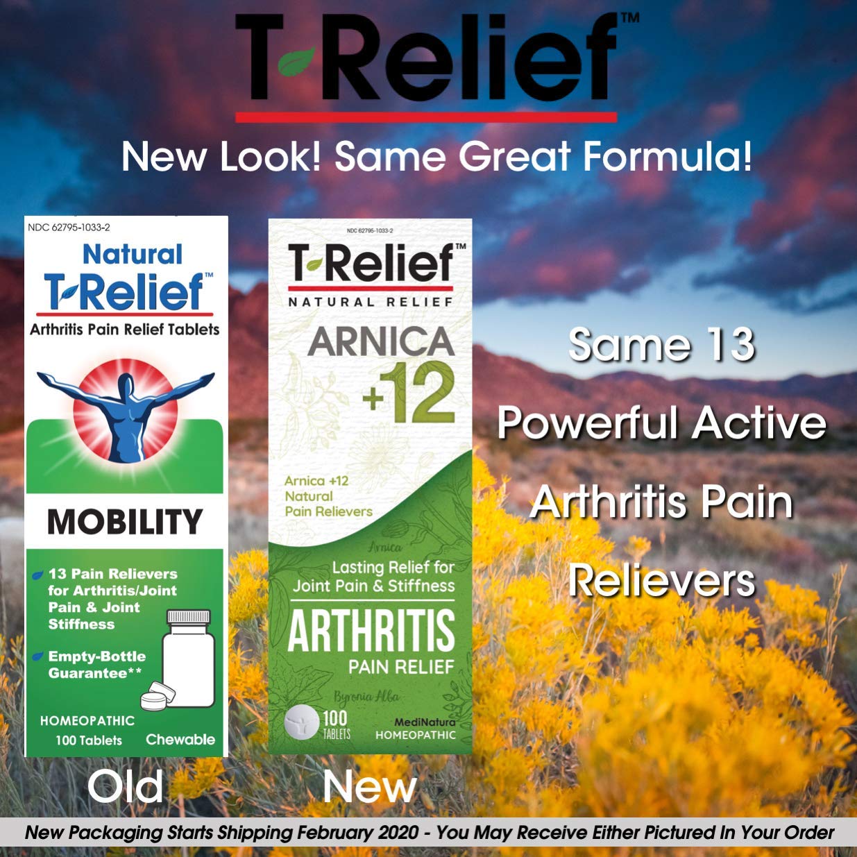 MediNatura T-Relief Extra Strength Arthritis Pain Reliever Arnica +12 Natural Medicines for Joint Soreness Stiffness Aches, Quick Dissolving Pain Relief for Women & Men - 100 Tablets (Pack of 3) MediNaturaAu supplements