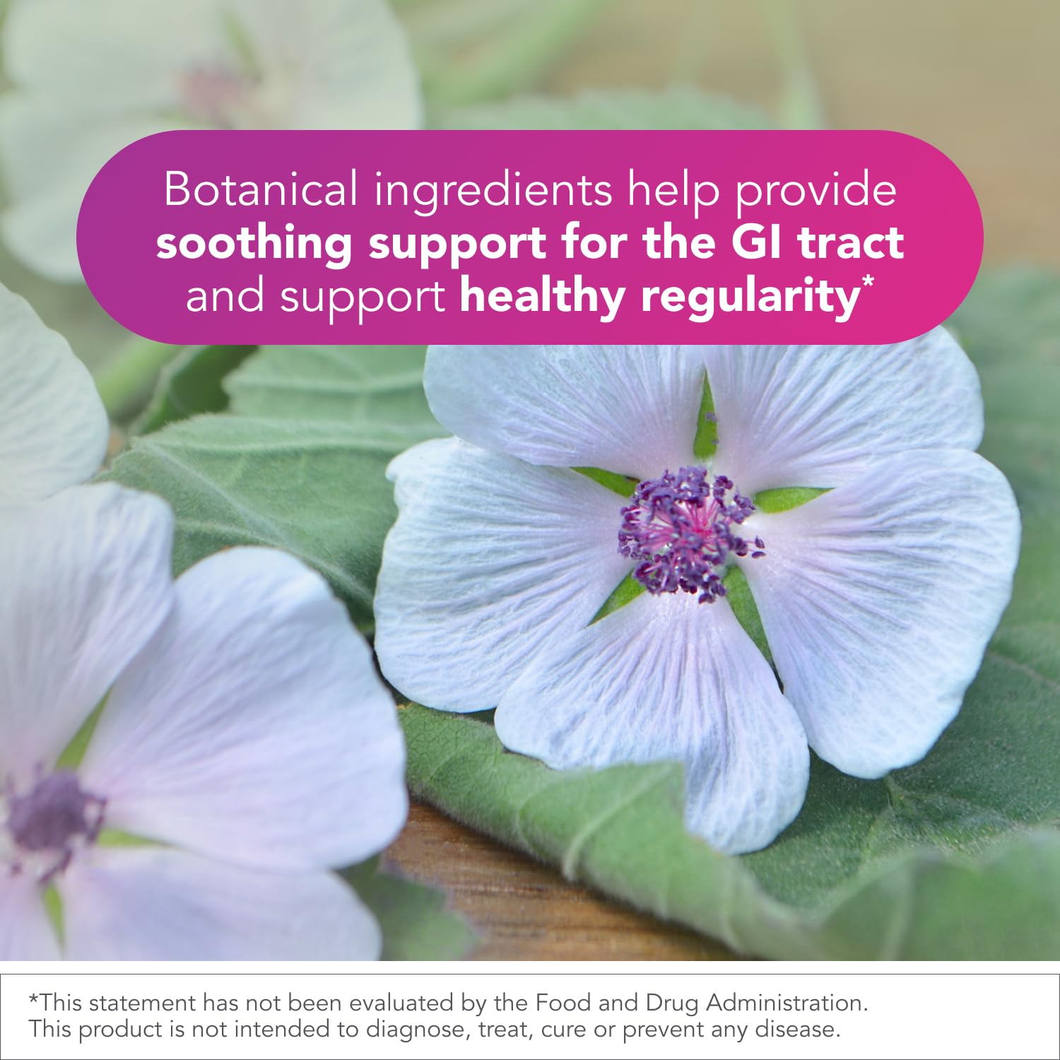 Biocidin Proflora 4R Spore Probiotic - Digestive Health Probiotics for Women & Men - Clinically Researched Bacillus Strains & Organic Aloe, Marshmallow Root for Gut Support (30 Vegan Capsules) Bio-Botanical ResearchUS supplements