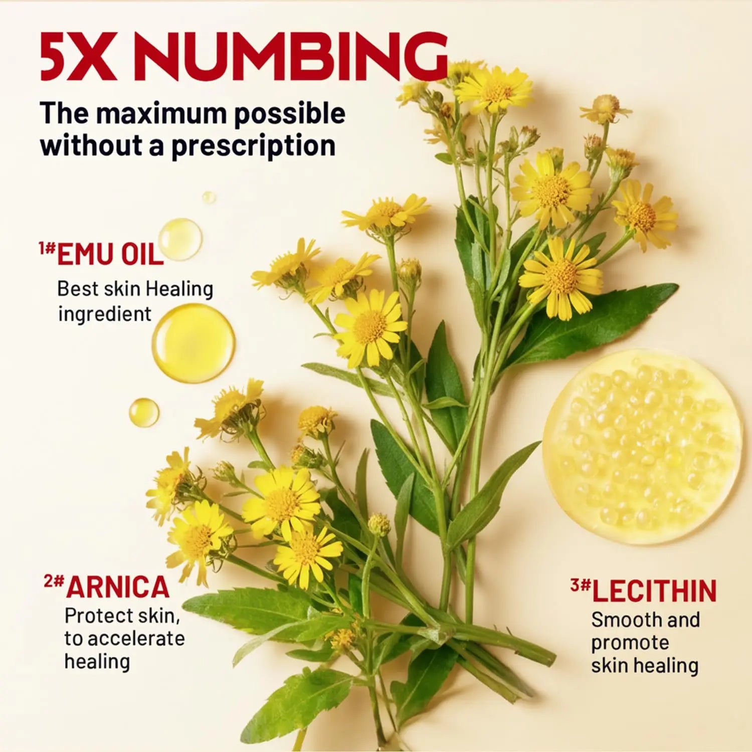 Acolye Numbing Cream Maximum Strength : 5% Lidocaine Topical Anesthetic - Extra Strength 5X Numbing with Menthol Arnica and Emu Oi (2 Fl Oz, Mint Flavor) AcolyeAu supplements