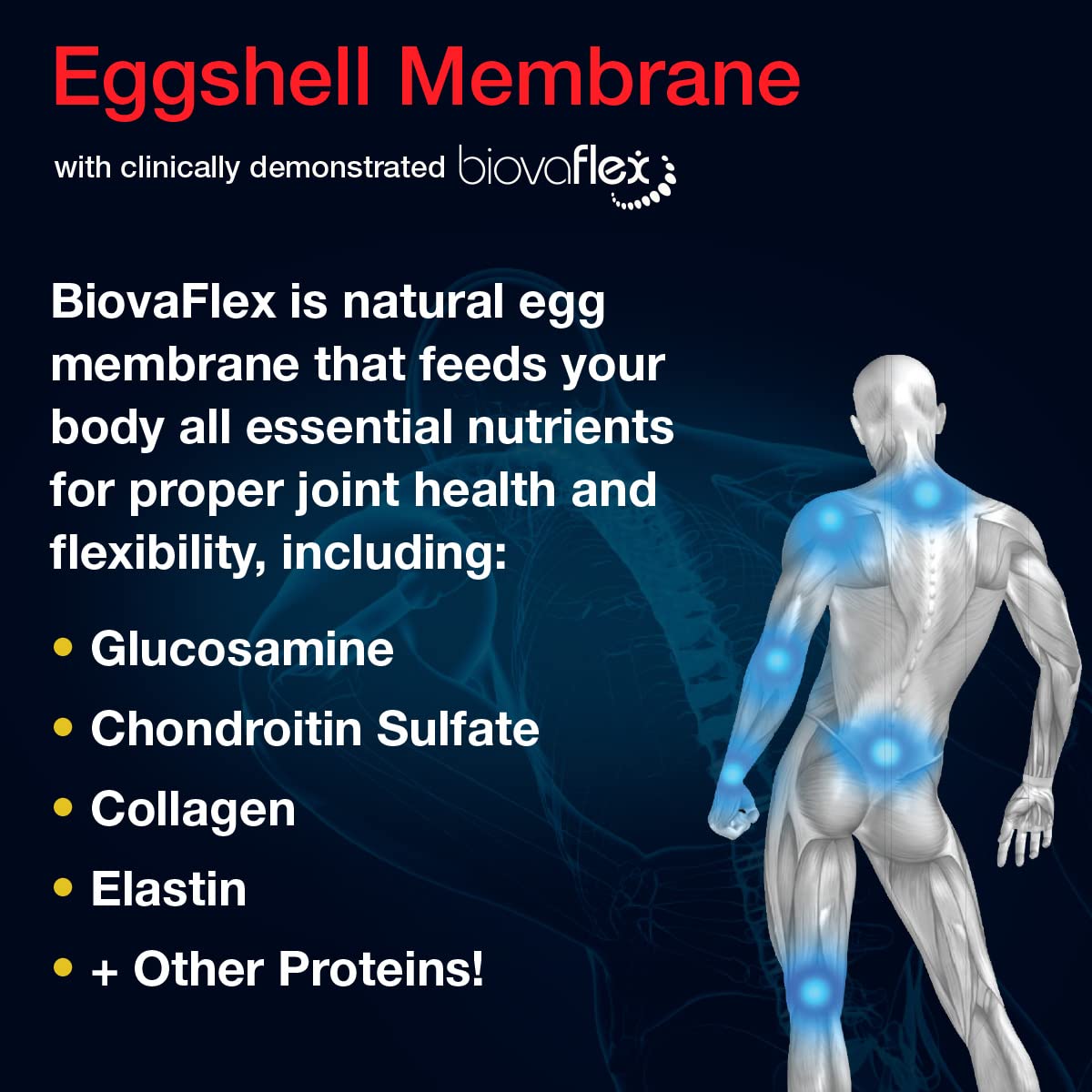 Aurora Nutrascience Micro-Pack Liposomal exoFlex+ with Vitamin C, Supports Joint Flexibility & Function, BiovaFlex Eggshell Membrane, Curcumin & Boswellia, Strwaberry Flavor, 30 Servings, 10 fl oz Vida LifescienceAu supplements