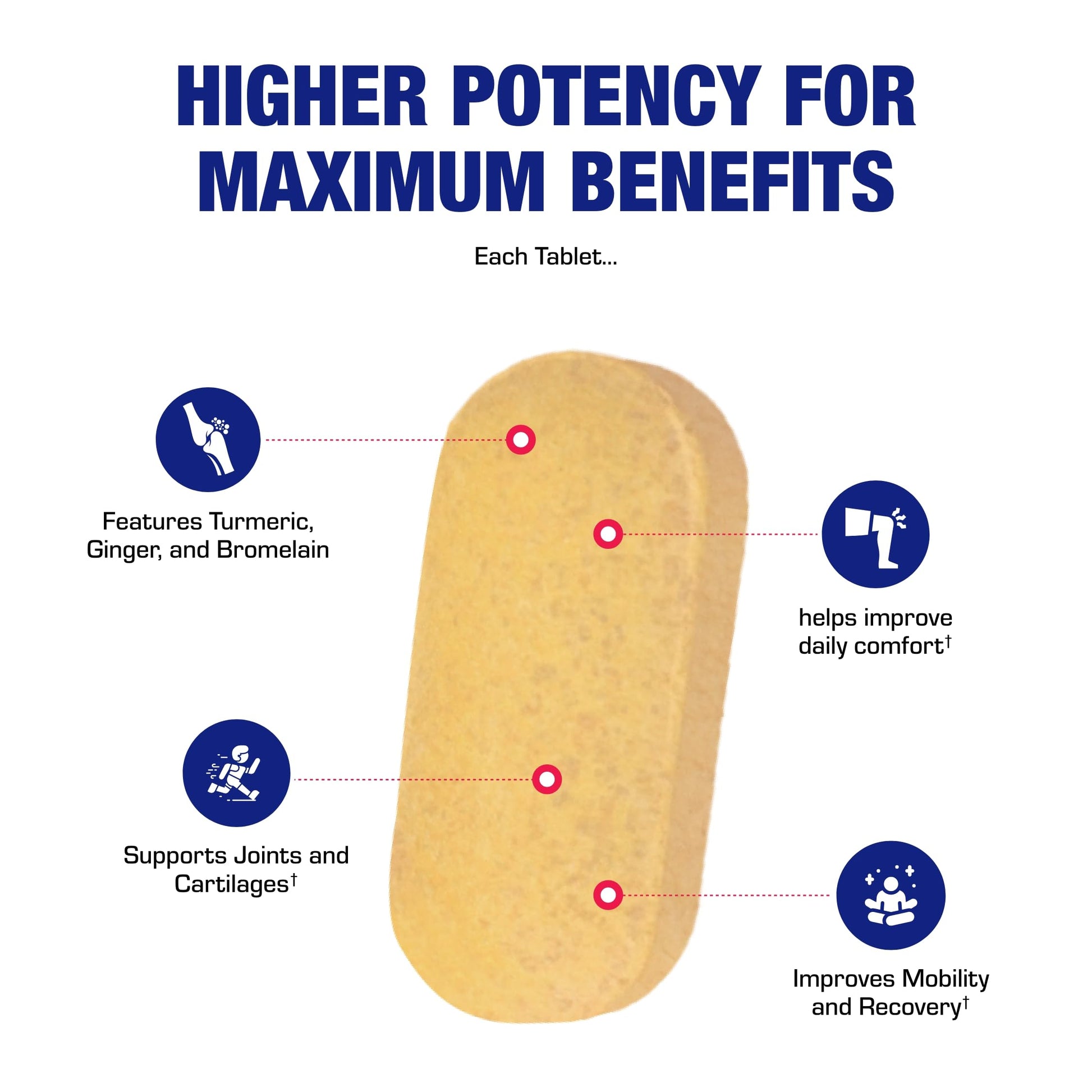 Pro ENZ Joint Support Supplement - Clinical Formula Turmeric Boswellia Supplement for Joint & Cartilage Mobility and Comfort Support Plus Eicosanoid Management with Proteolytic Enzymes (120 Servings) Anabolic LaboratoriesAu supplements