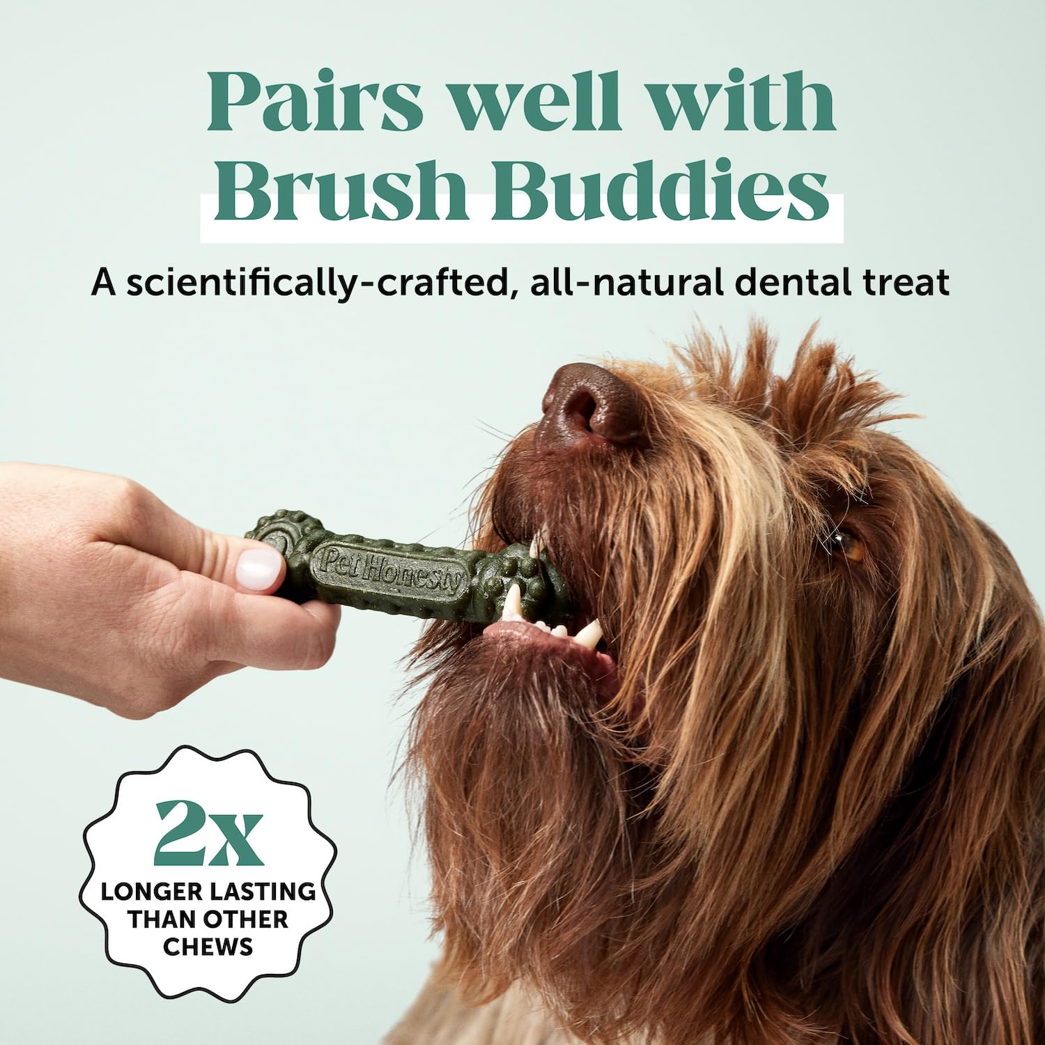 Dog Breath Freshener Dental Powder for Teeth Cleaning Plaque Off, Dental Care for Dogs, Tartar Remover for Teeth with Natural Herbal Blend + Postbiotics (Mint - 30 Servings) Pet HonestyAu supplements