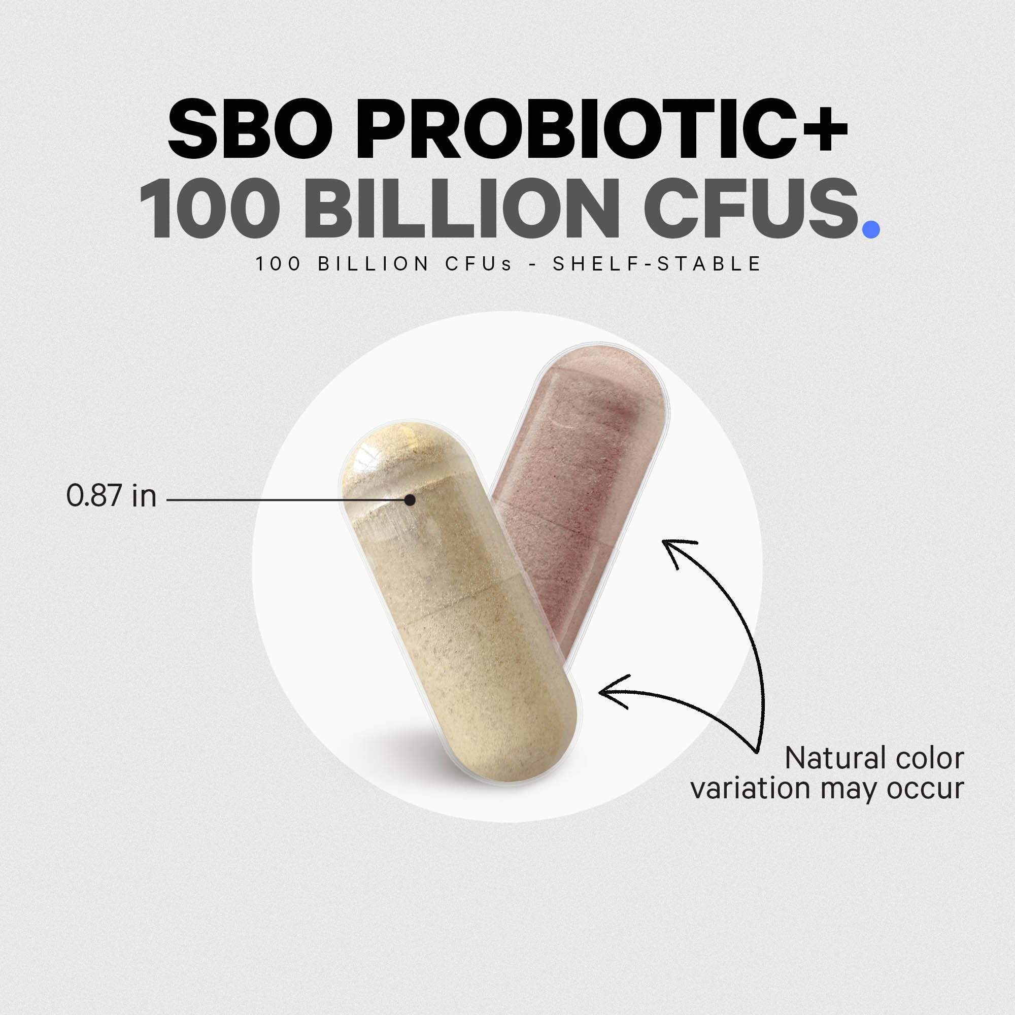 Codeage SBO Probiotics, 100 Billion CFUs Per Serving, Multi Strain Soil Based Organisms Blend and Organic Fermented Botanical Blend, Shelf-Stable, 90 Capsules CodeageAu supplements