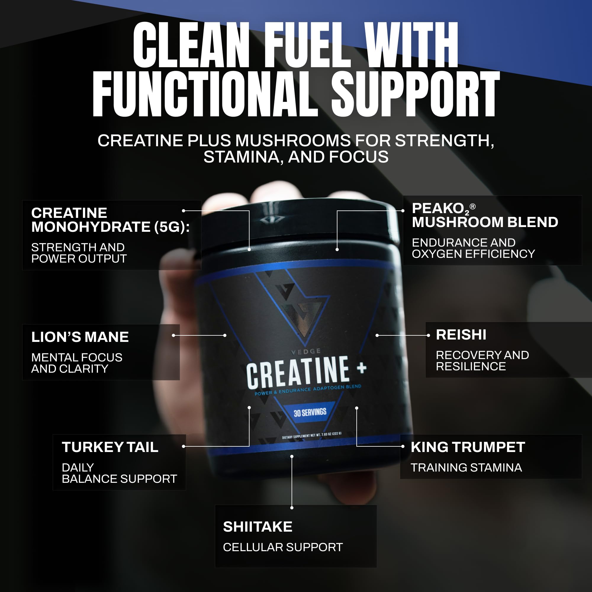 VEDGE Nutrition Creatine + | Vegan Plant-Based Creatine Monohydrate Powder | Energy, Performance & Function | Ergogenic Aids for Athletes | Unflavored, 30 Servings VEDGEAu supplements