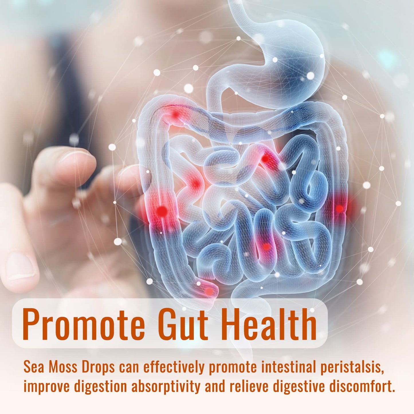 Sea Moss Liquid Drops: Organic Irish Sea Moss 2500mg with Turmeric, Bladderwrack dilibUS supplements