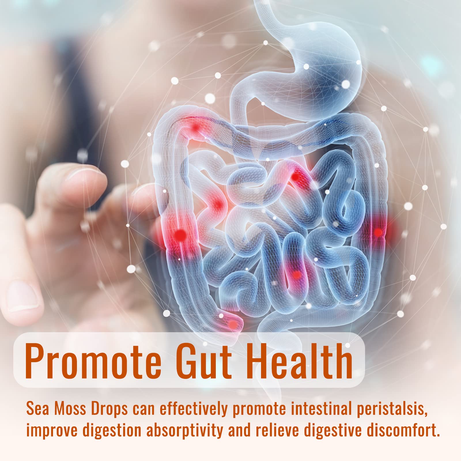 Sea Moss Liquid Drops: Organic Irish Sea Moss 2500mg with Turmeric, Bladderwrack dilibUS supplements