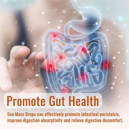 Sea Moss Liquid Drops: Organic Irish Sea Moss 2500mg with Turmeric, Bladderwrack dilibUS supplements
