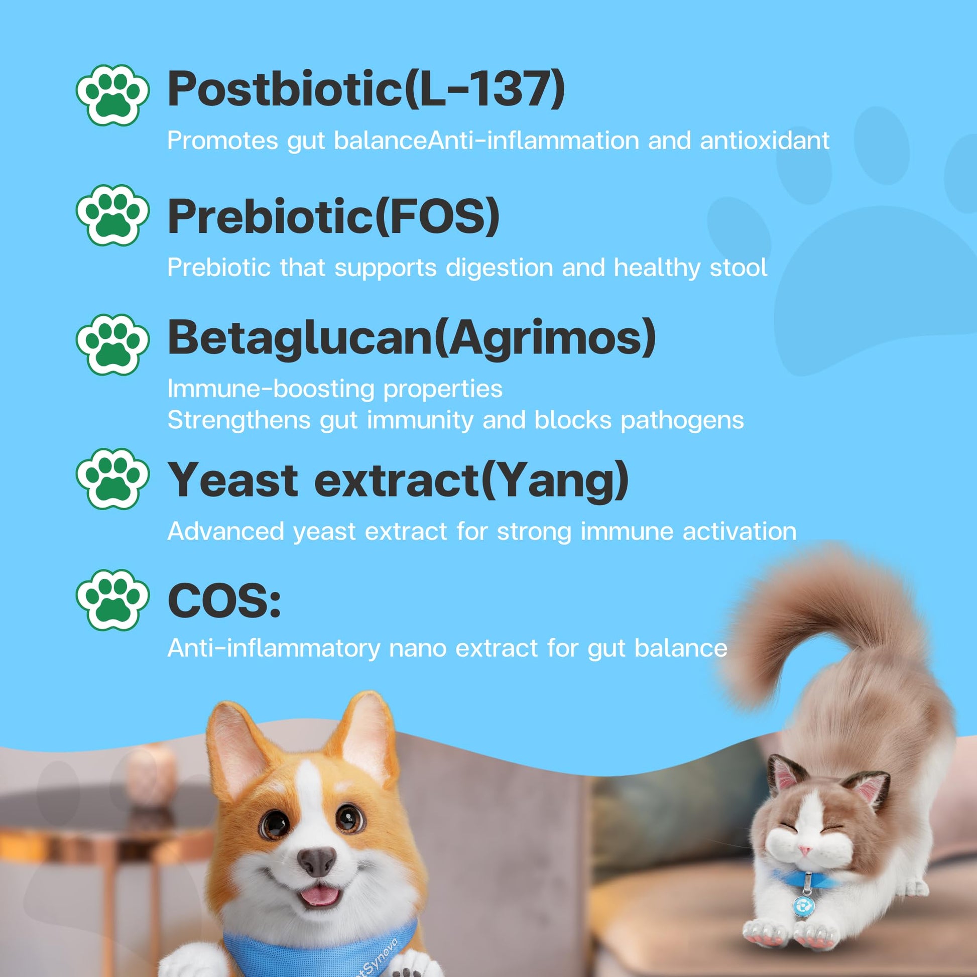 VFcare BIO Supplement for Cats & Dogs – Anti Diarrhea for Dogs, Gut Health Paste with Postbiotics, Prebiotics, FOS, L-137, Yeast Extract – Anti Diarrhea for Dogs, 30 Sachets VFCAREAu supplements