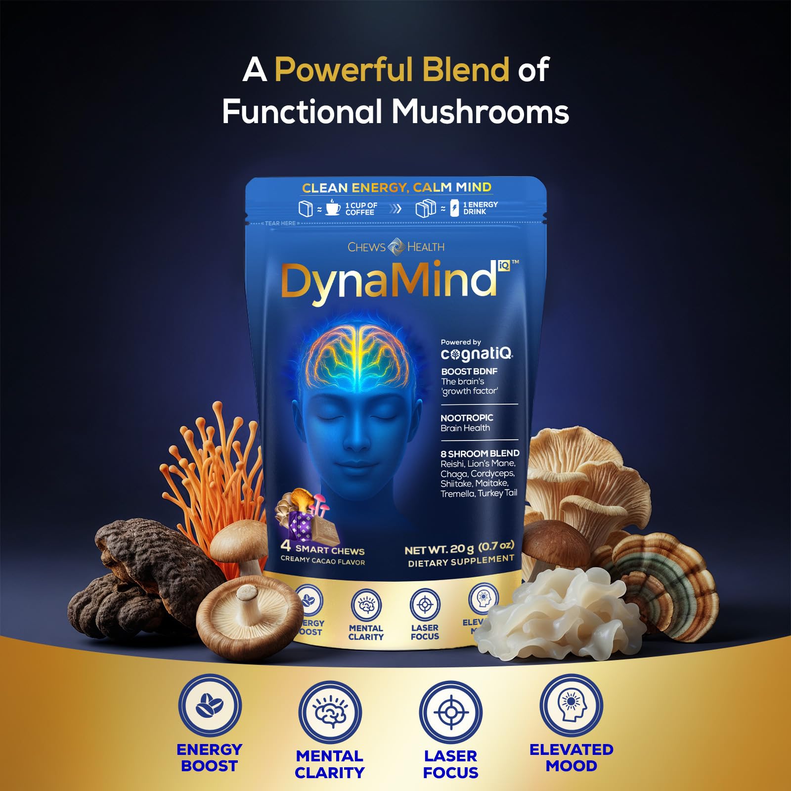 DynaMind iQ Brain Supplement for Memory and Focus for Adults - Nootropic Chews | Coffee Fruit & Mushroom Supplement Blend, Memory Focus Supplement, Caffeine Focus Pills Alternative, 4 Count CHEWSHEALTHAu supplements