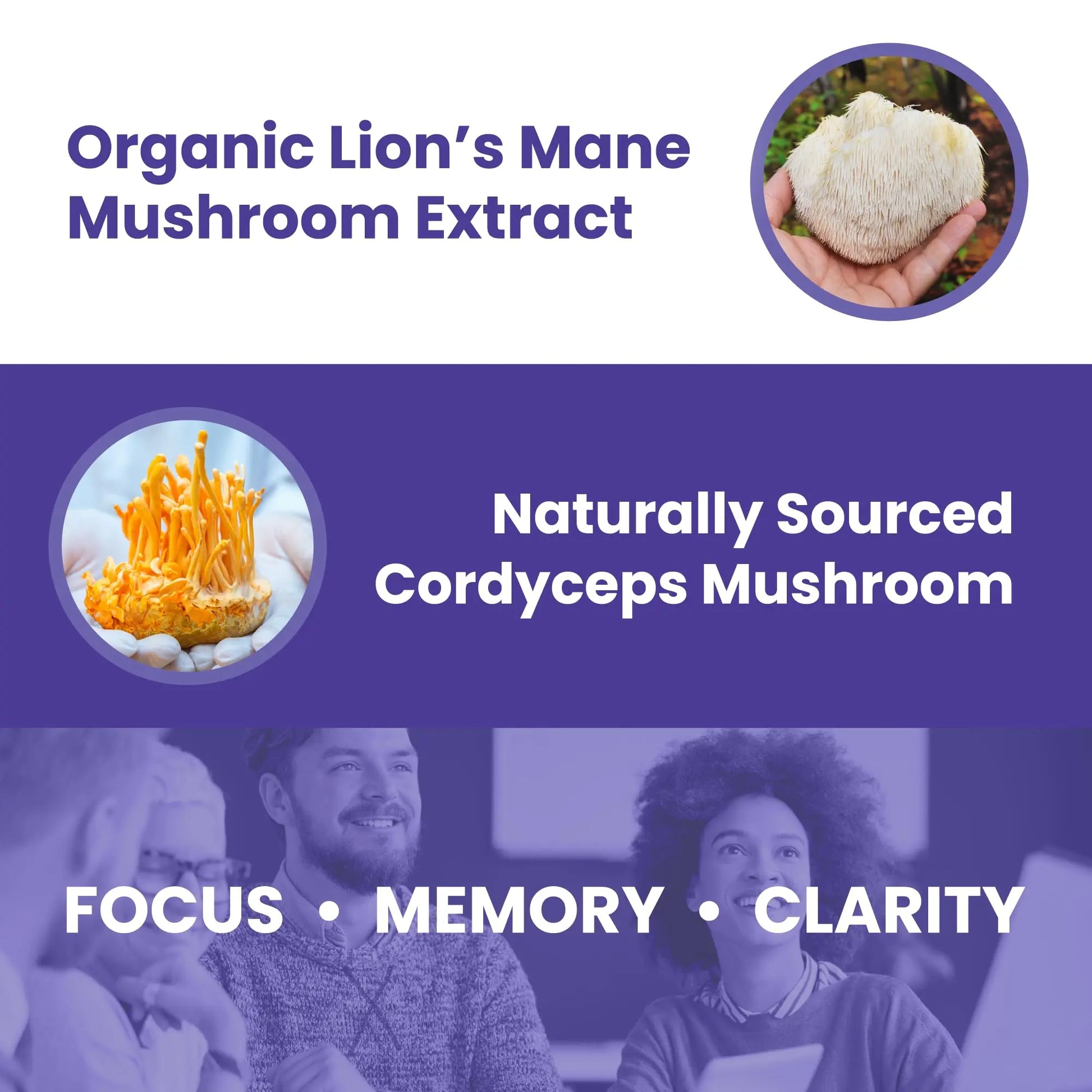 Calm by Wellness Lion’s Mane Gummies for Adults – Vegan Mushroom Gummies with Lion’s Mane & Cordyceps for Brain Support, Memory & Focus, Immune Boost – Citrus Flavor, 30 Count Calm by Wellnessnz supplements
