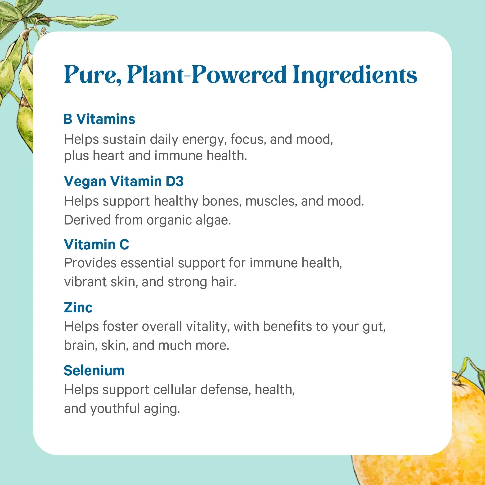 PURE SYNERGY Multi·Vita·Min | Vegan Multivitamin Made with Organic Whole Foods | Twice Daily Supplement for Men and Women PURE SYNERGYAu supplements