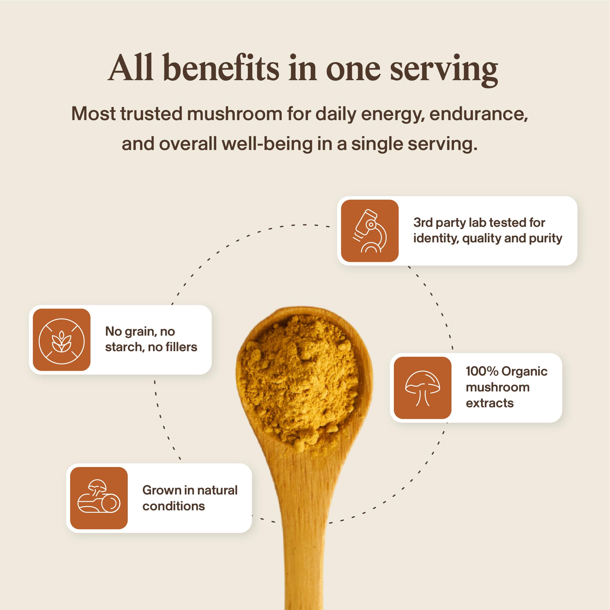 Real Mushrooms Supplement Capsules - Cordyceps Mushroom Powder Rich in Beta Glucans - Mushroom Pills Cordyceps for Energy and Performance - Vegan, Non-GMO, No Grain Fillers, 120 ct Real MushroomsAu supplements