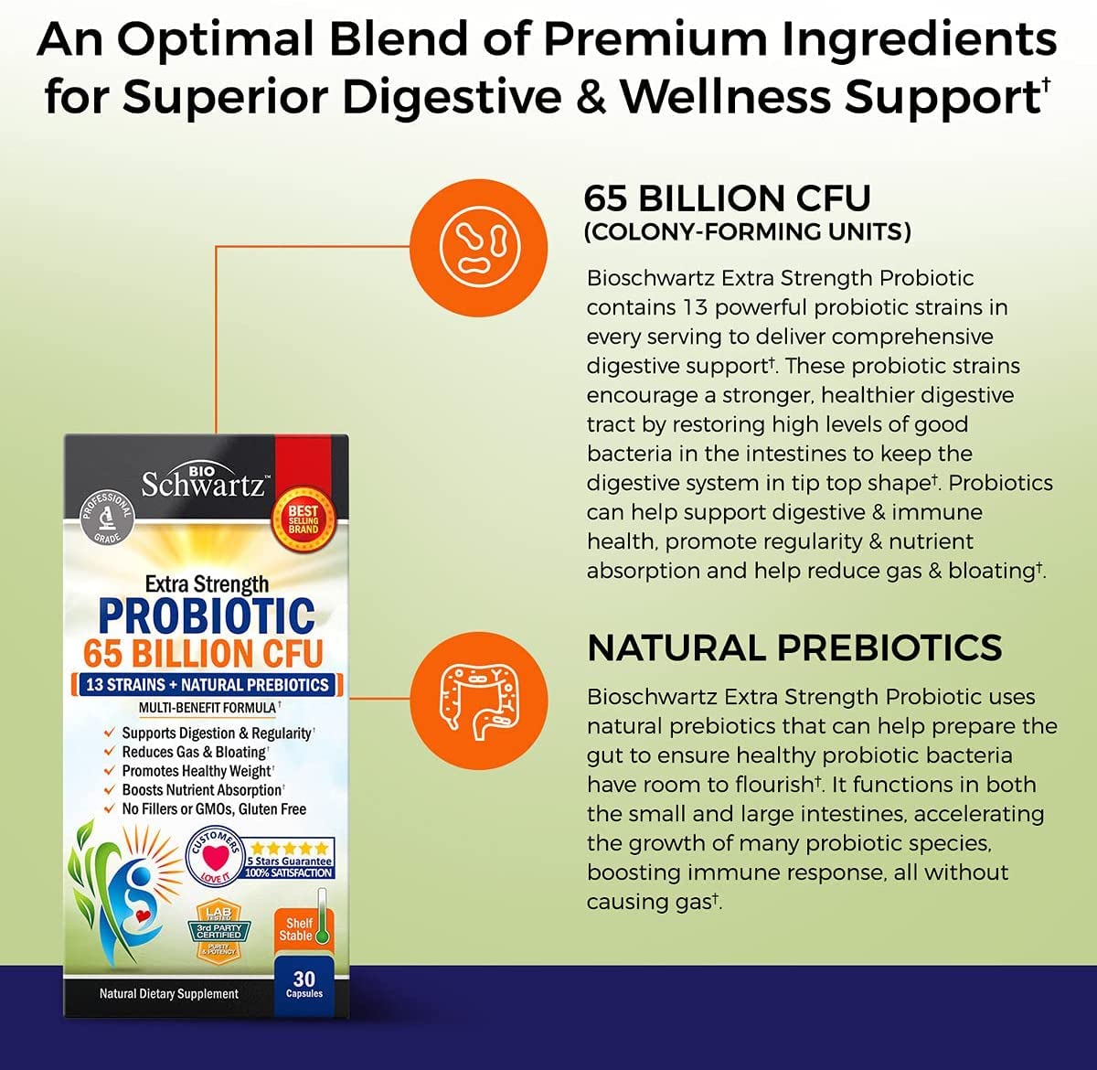 Probiotic 65 Billion - Probiotics with Prebiotic for Women & Men - Lactobacillus BioSchwartzAu supplements
