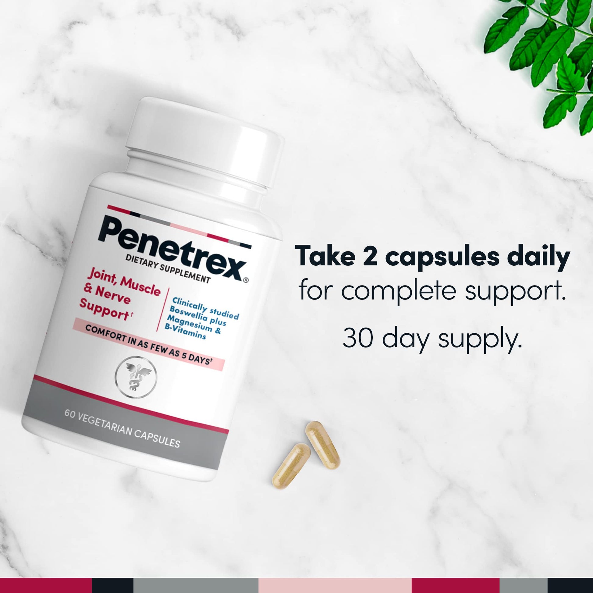Penetrex Joint, Muscle and Nerve Support Supplement with 3 oz Joint & Muscle Therapy Roll-On Gel PenetrexAu supplements