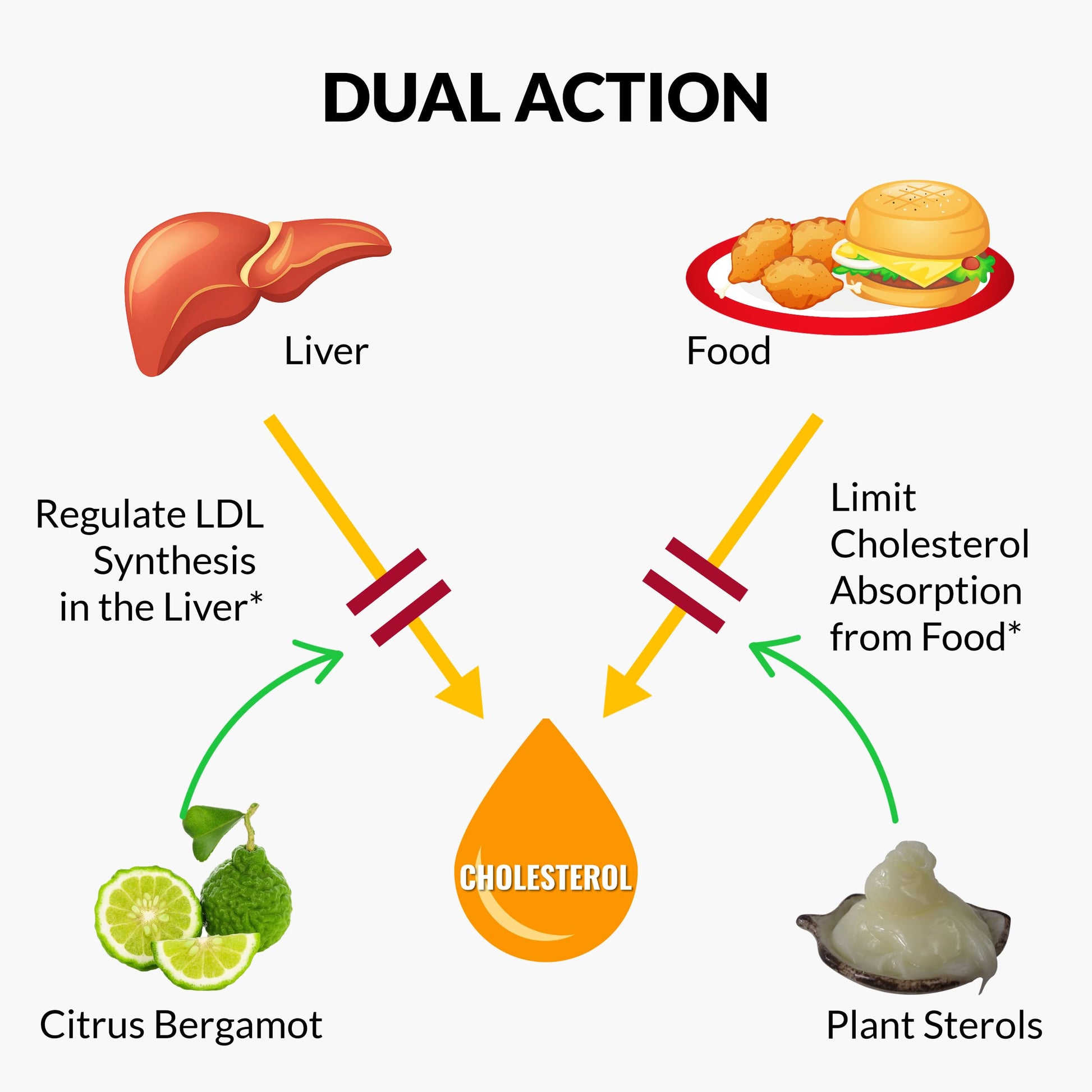 UpNourish Plant Sterols Citrus Bergamot Supplement for High Cholesterol with CoQ10, Omega 3, Olive Leaf, Turmeric Curcumin, Black Garlic and Niacin - 120 Softgels UpNourishAu supplements