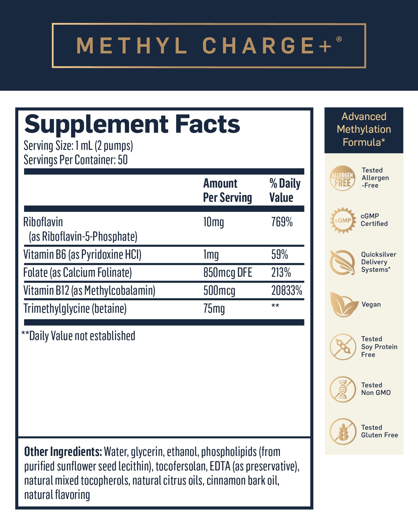 Quicksilver Scientific Methyl Charge - Methylation, Liver, Detox + Energy Supplement - Folate, Vitamin B12, Riboflavin, Vitamin B6 + TMG Supplement with Superior Absorption - Vegan B Vitamins (50ml) Quicksilver ScientificUS supplements