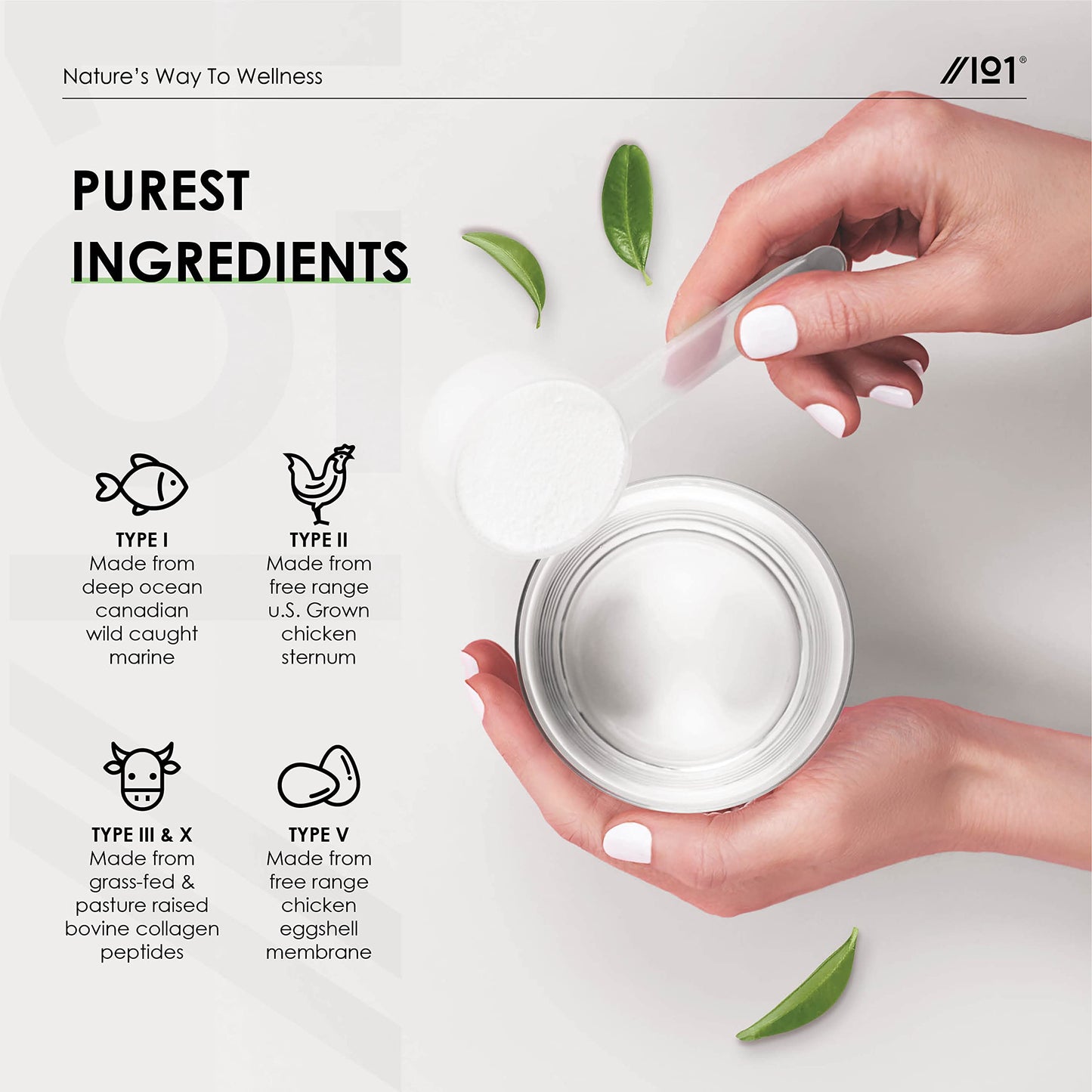 Multi Collagen Protein Powder (400g) - Types I, II, III, V & X - Hydrolyzed Grass Fed Bovine, Wild Caught Fish ALPHA01US supplements
