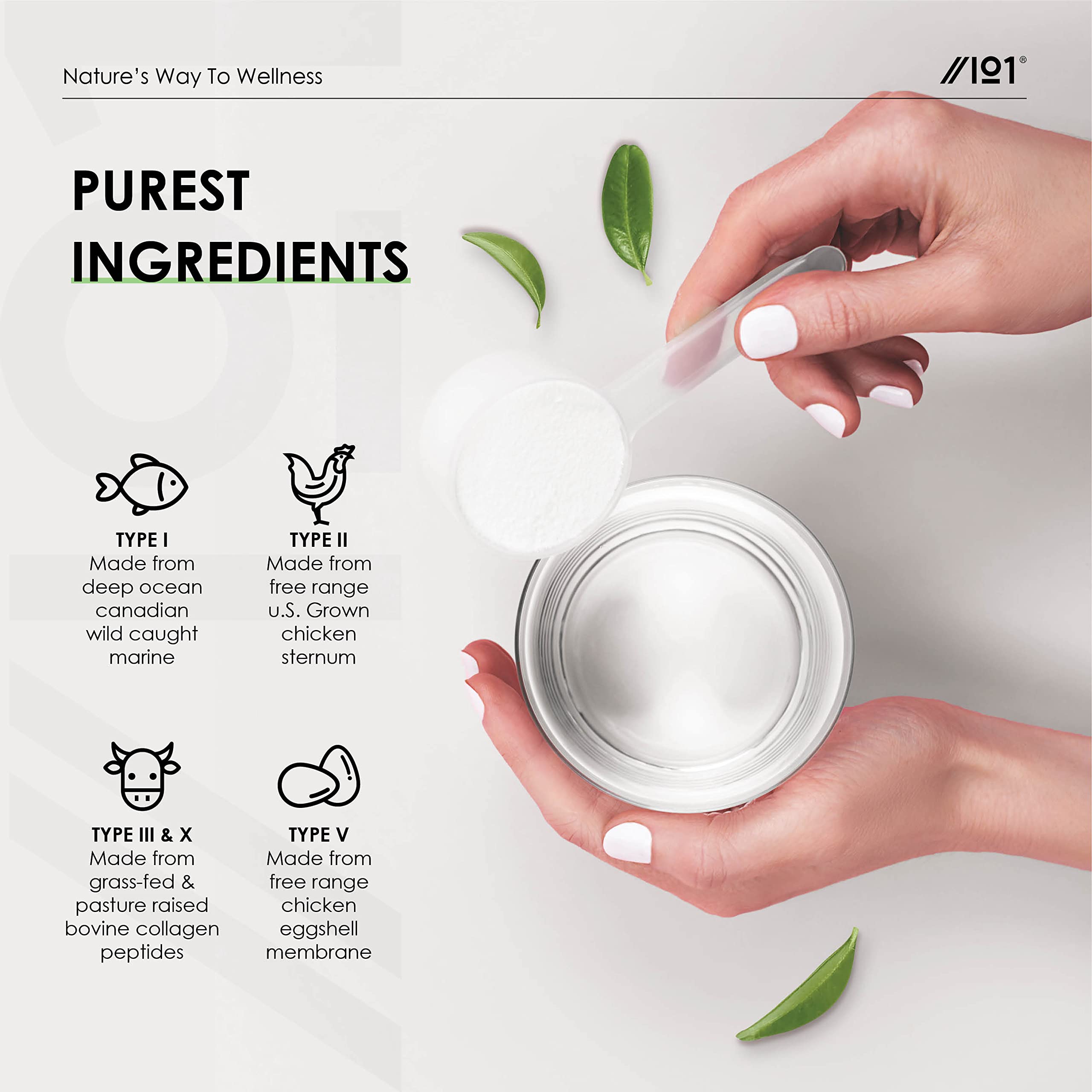 Multi Collagen Protein Powder (400g) - Types I, II, III, V & X - Hydrolyzed Grass Fed Bovine, Wild Caught Fish ALPHA01Au supplements