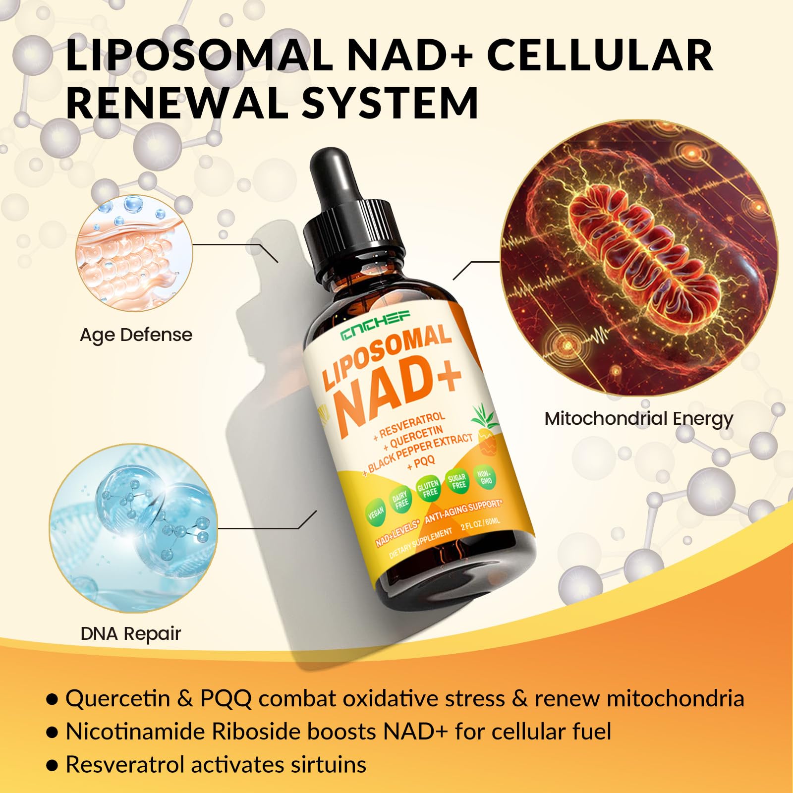 CNCHEF Liposomal NAD Supplement - 1500mg NAD+ Liquid Drop for Women & Men Nicotinamide Riboside Chloride & Resveratrol Complex - Cellular Renewal, Anti-Aging Support - 30 Servings (2 fl oz) CNCHEFAu supplements